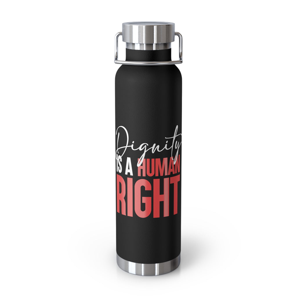 Dignity Is a Human Right Stainless Insulated Tumbler