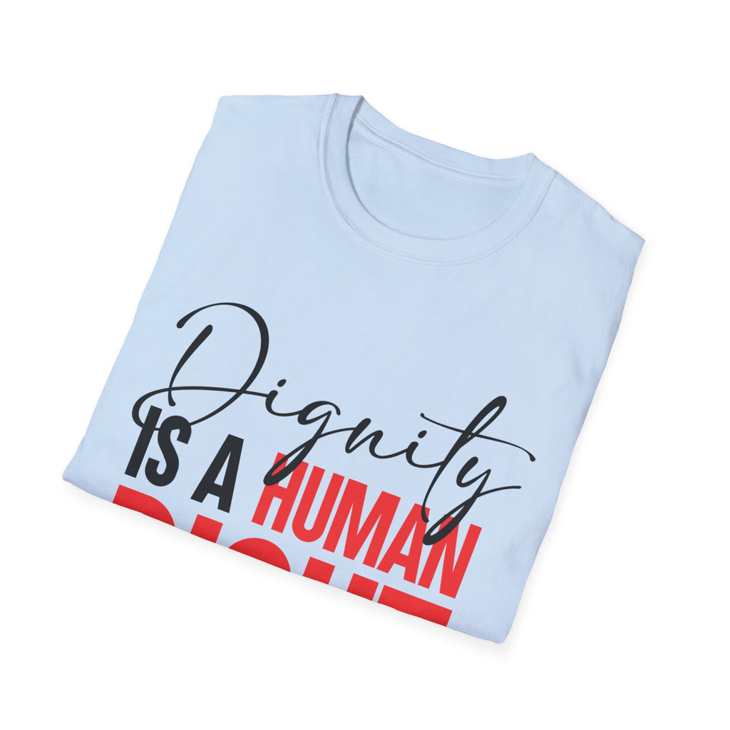 Dignity Is A Human Right T-Shirt
