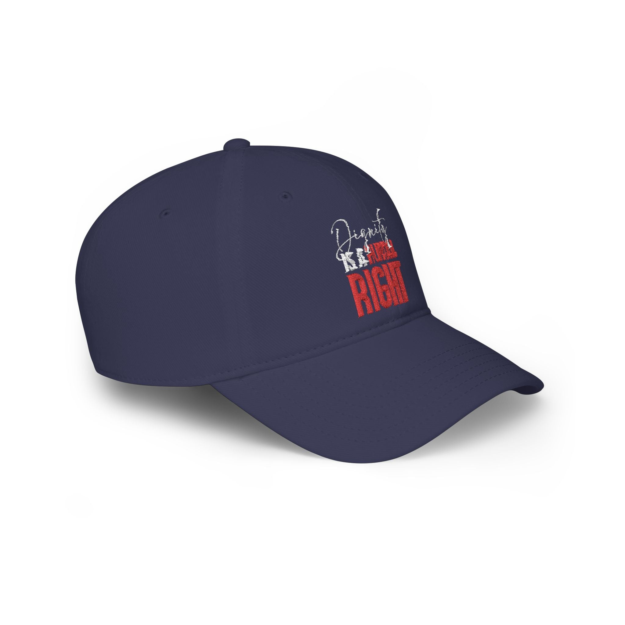 Dignity Is a Human Right Baseball Cap — Dark