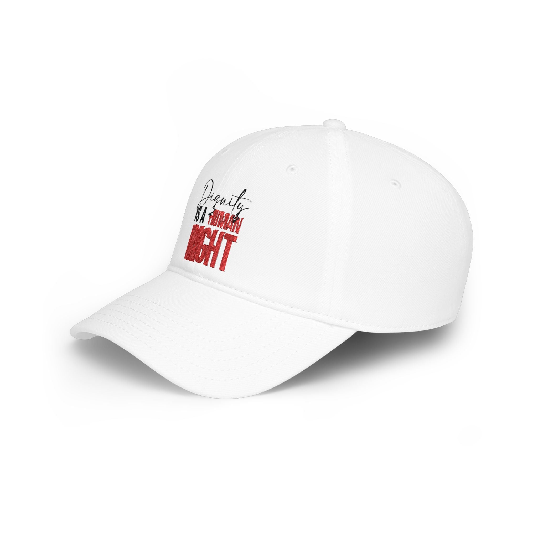 Dignity Is a Human Right Baseball Cap — Light