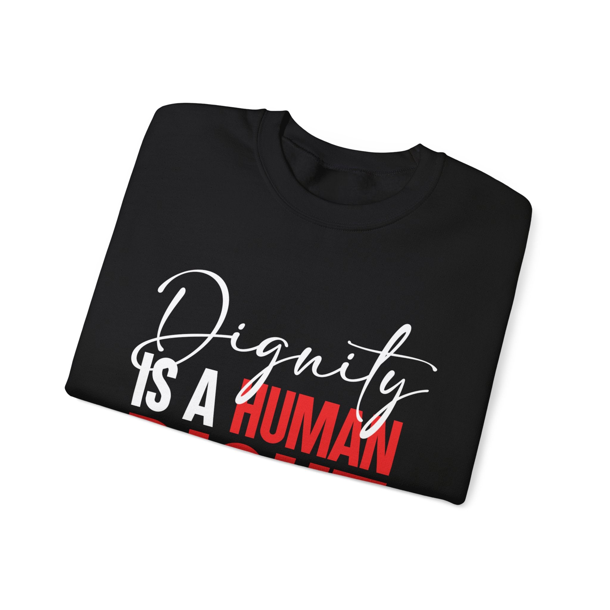 Dignity Is a Human Right Crewneck