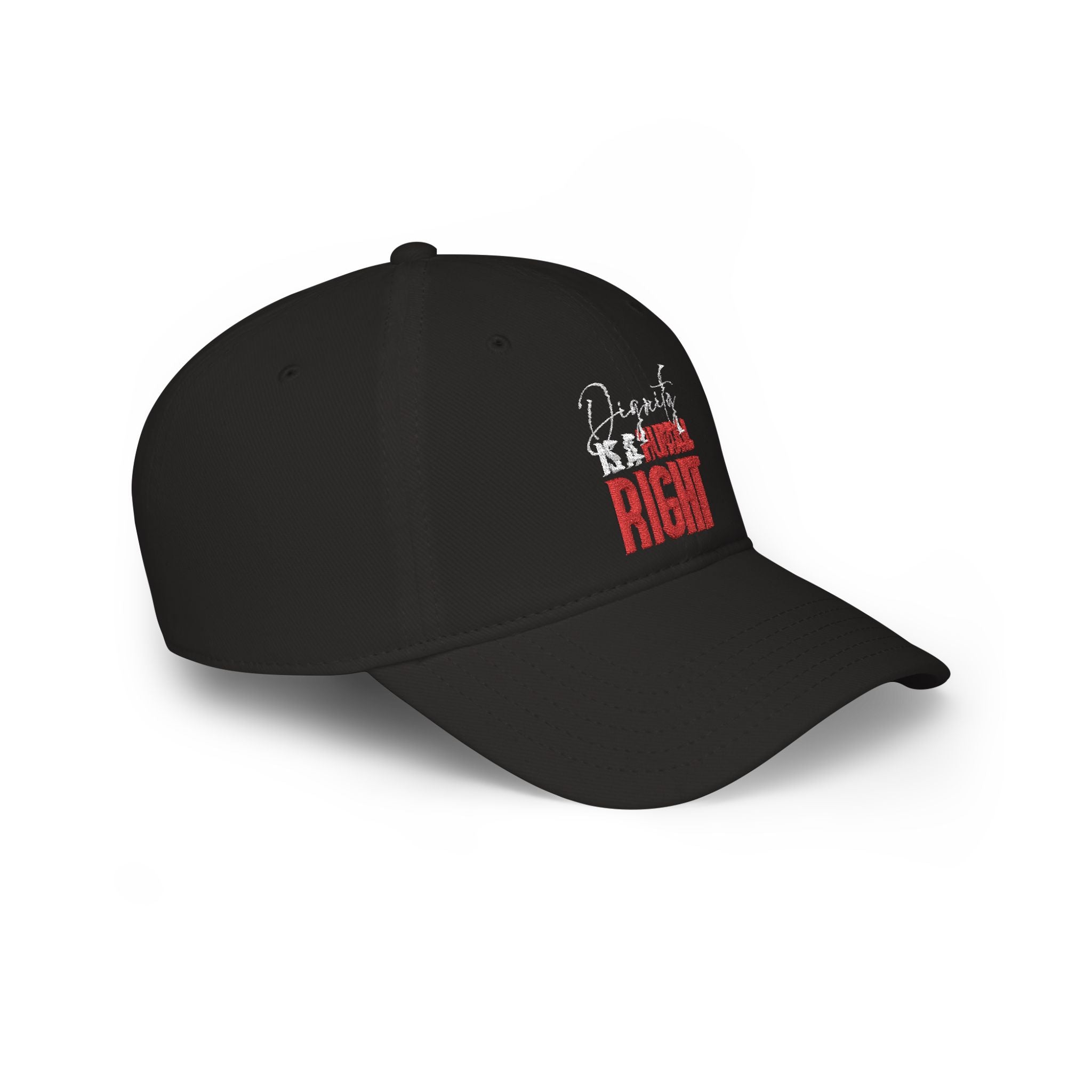 Dignity Is a Human Right Baseball Cap — Dark