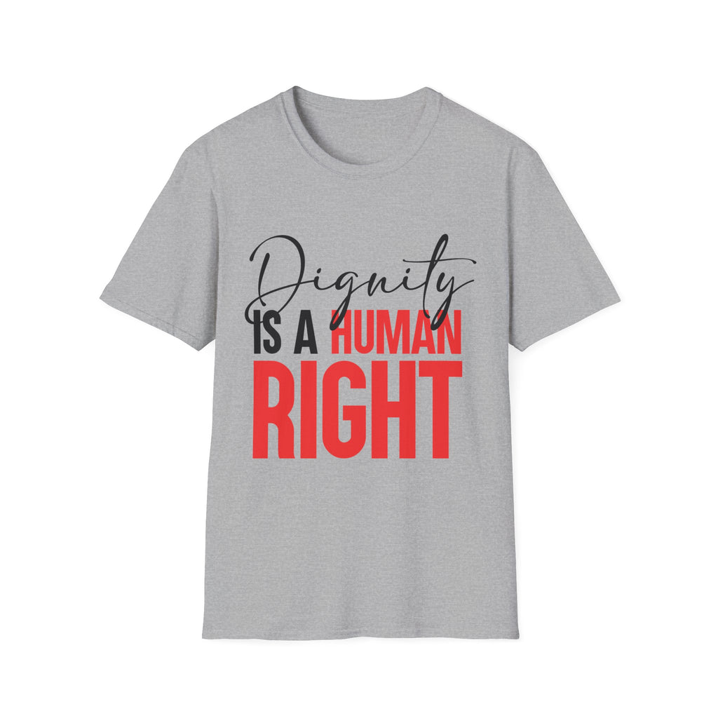 Dignity Is A Human Right T-Shirt