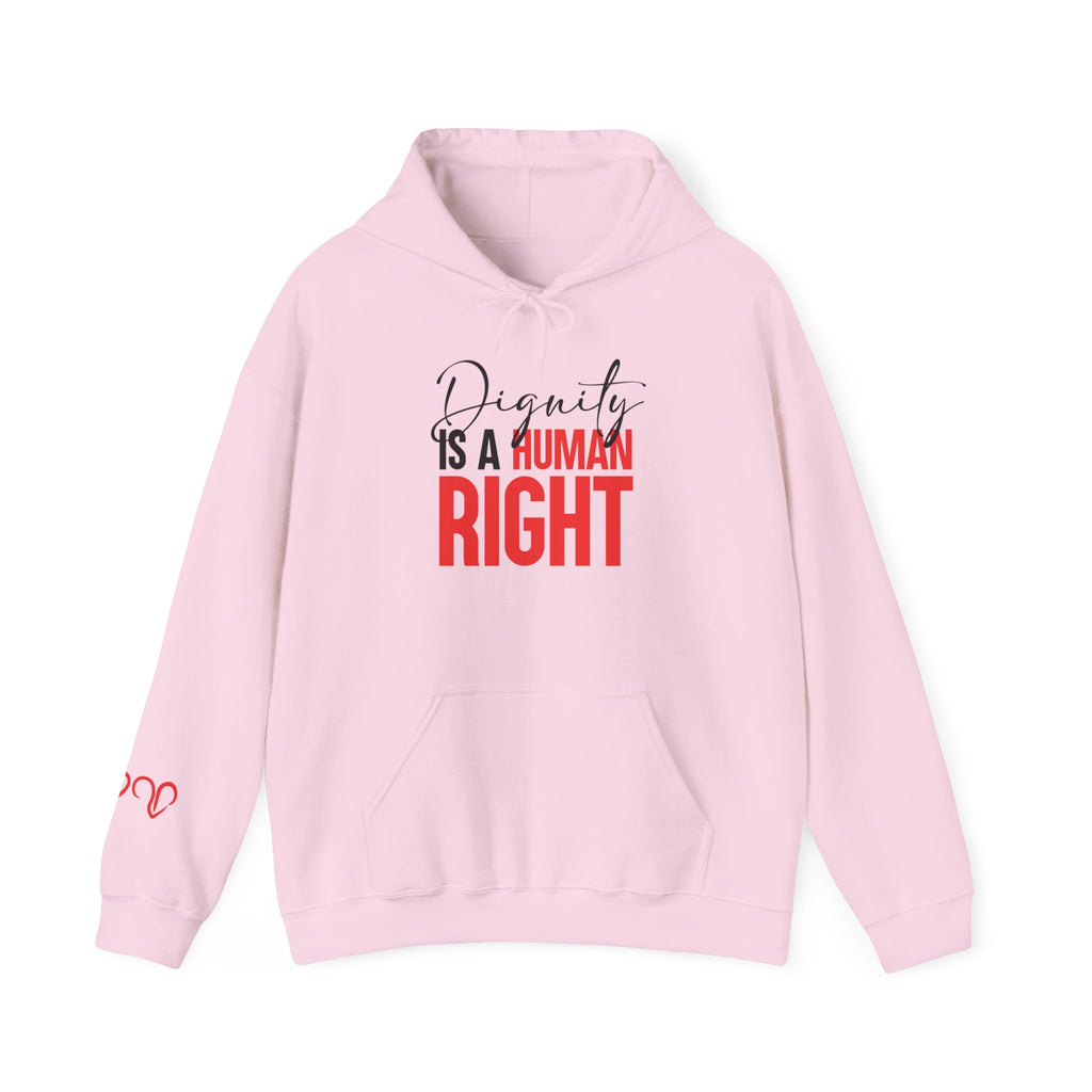 Dignity Is a Human Right Hoodie