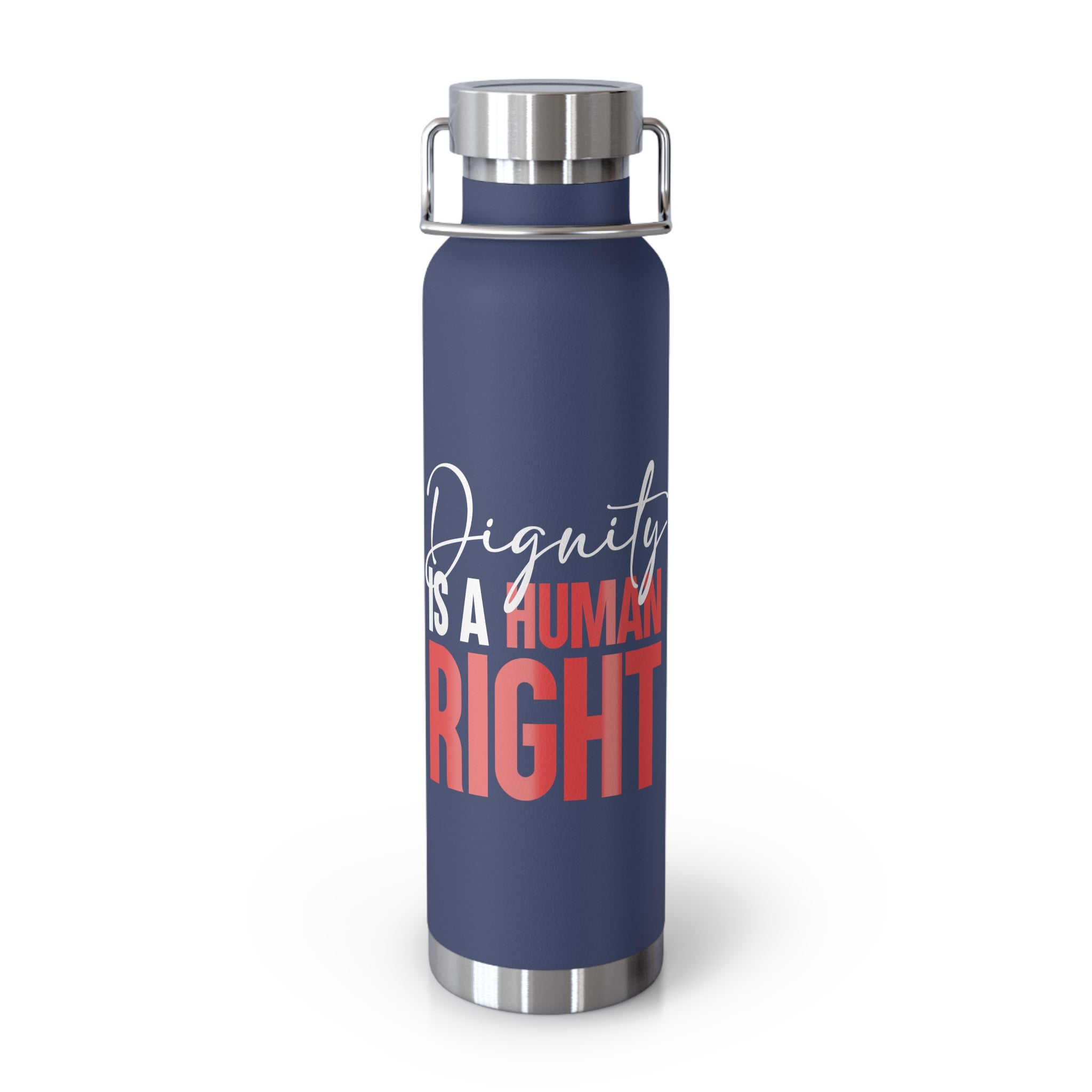 Dignity Is a Human Right Stainless Insulated Tumbler