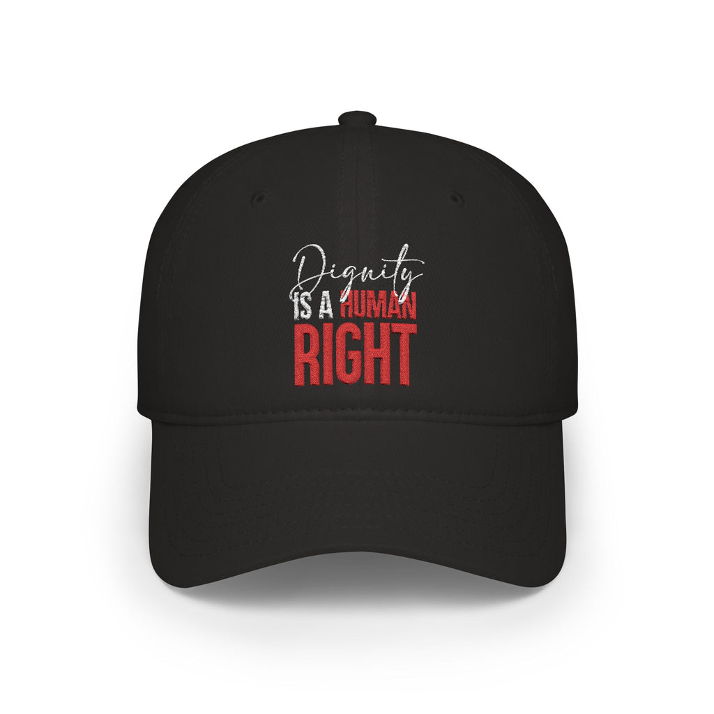 Dignity Is a Human Right Baseball Cap — Dark