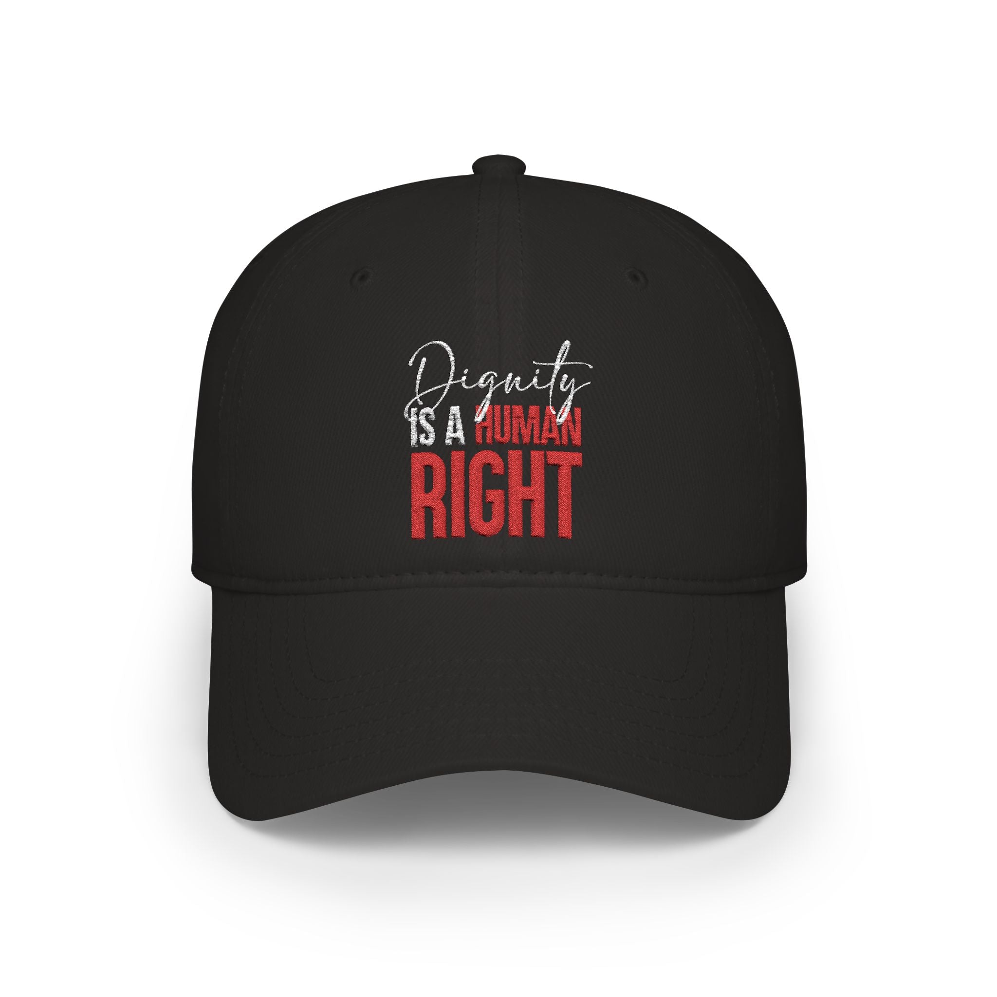 Dignity Is a Human Right Baseball Cap — Dark