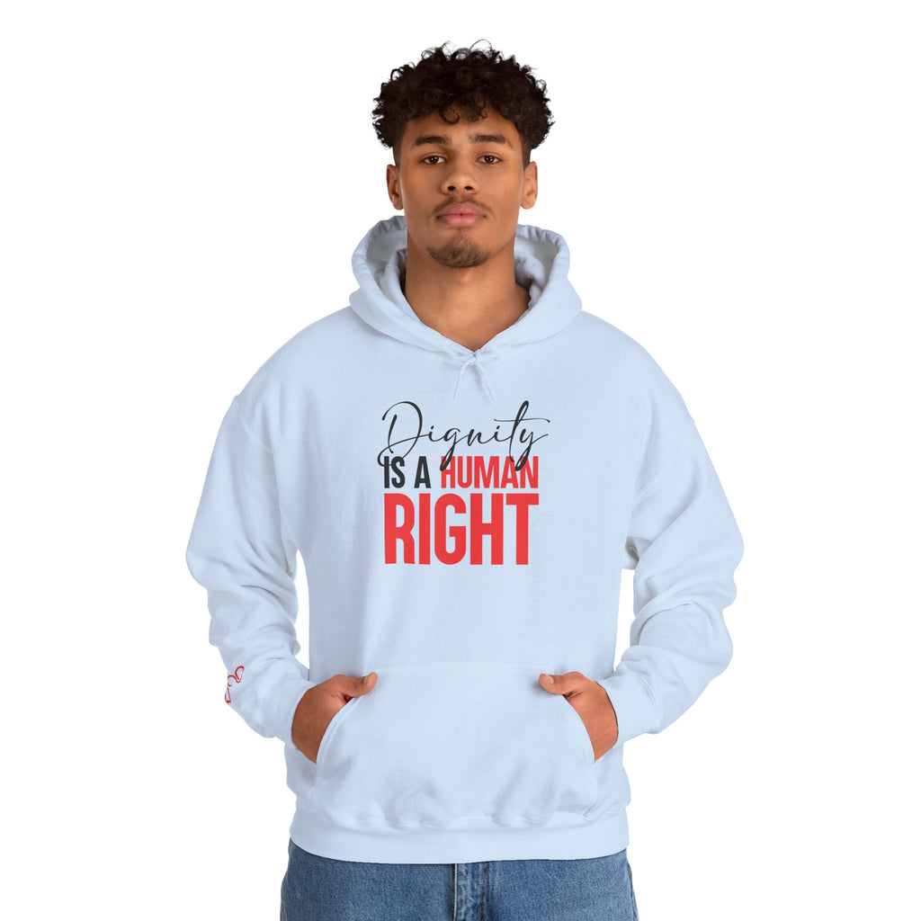 Dignity Is a Human Right Hoodie