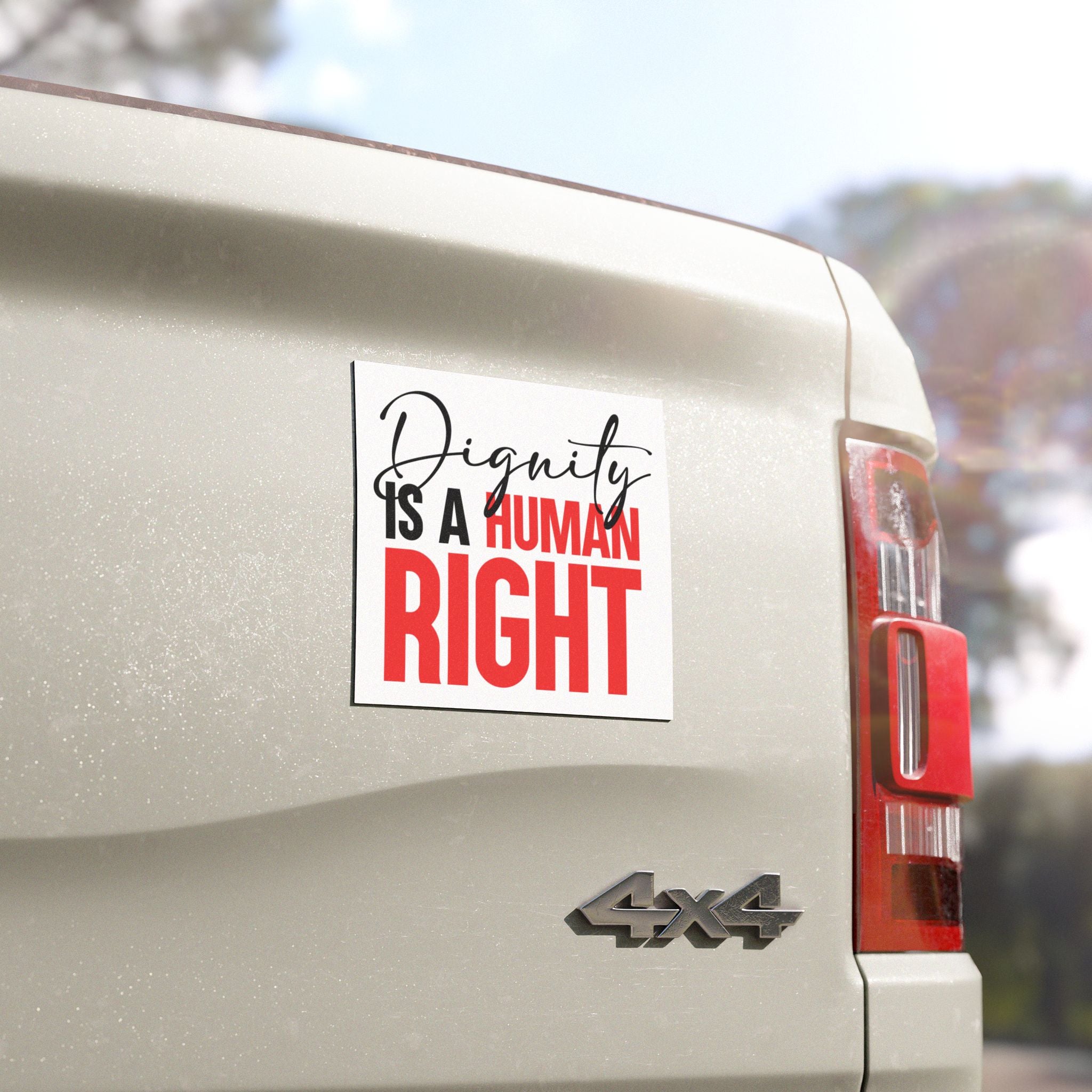 Dignity Is A Human Right Car Magnet