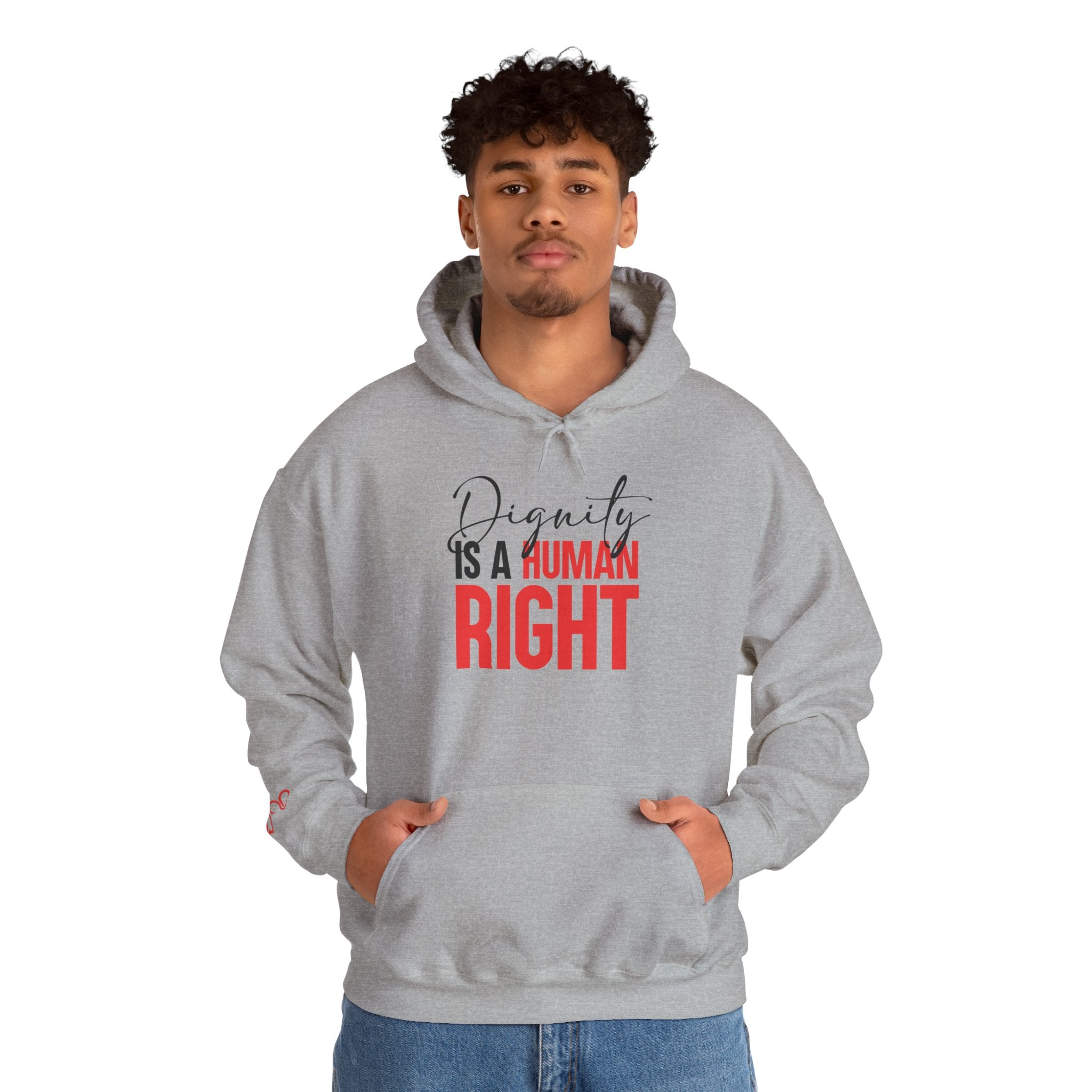 Dignity Is a Human Right Hoodie