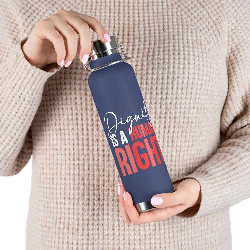 Dignity Is a Human Right Stainless Insulated Tumbler