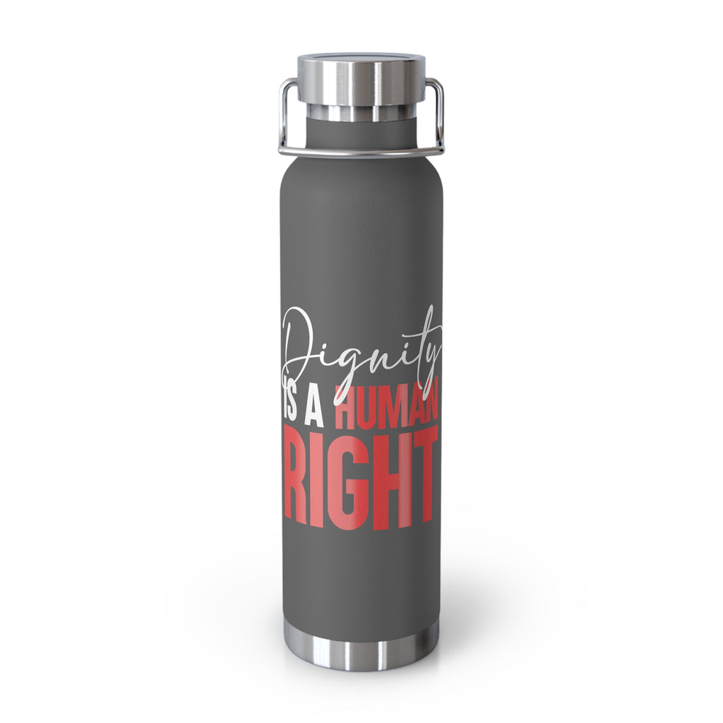 Dignity Is a Human Right Stainless Insulated Tumbler