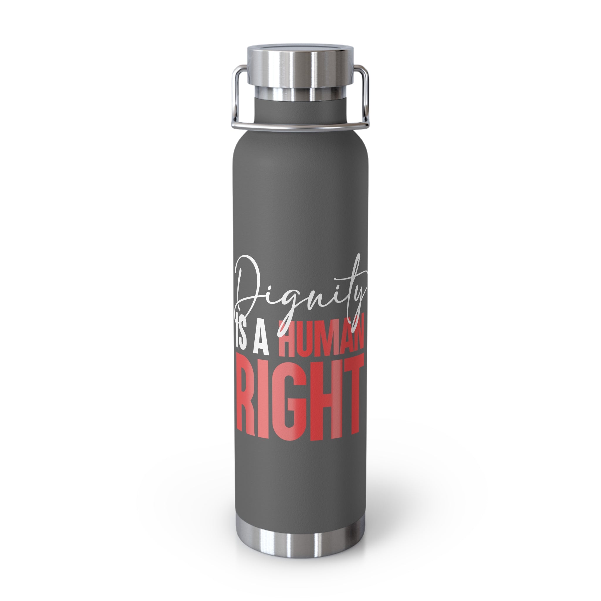 Dignity Is a Human Right Stainless Insulated Tumbler