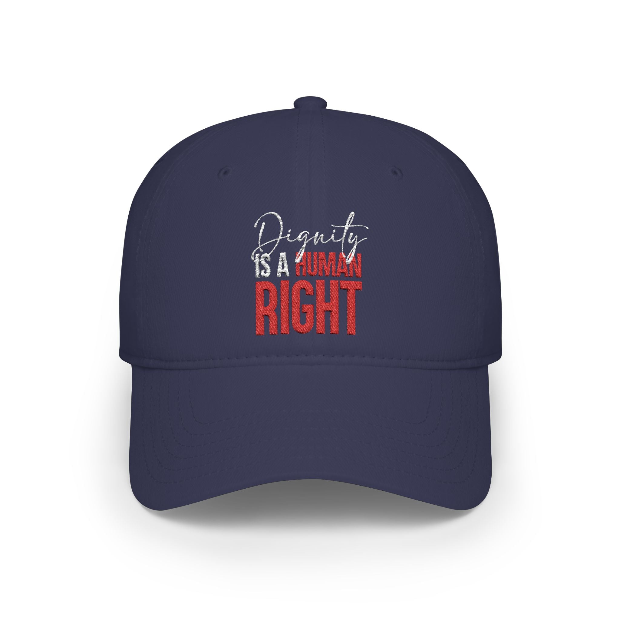 Dignity Is a Human Right Baseball Cap — Dark