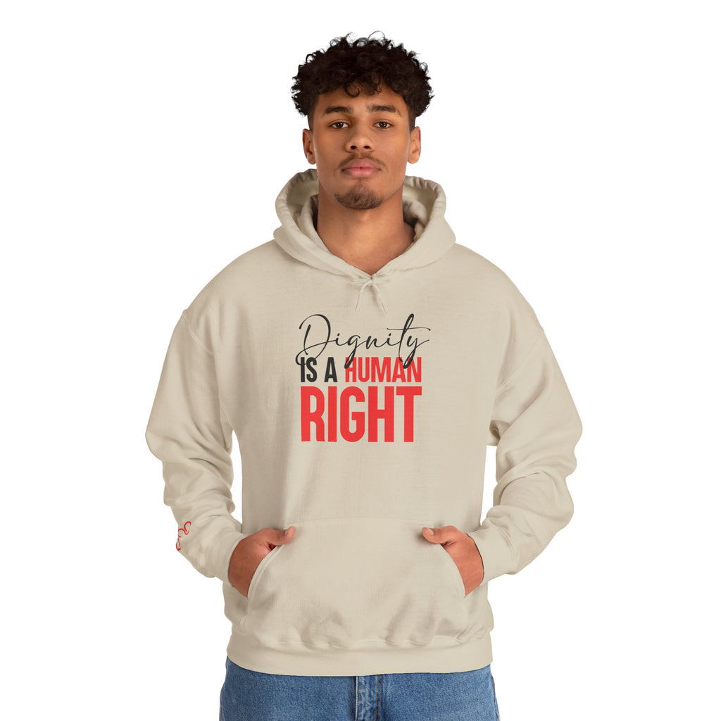 Dignity Is a Human Right Hoodie