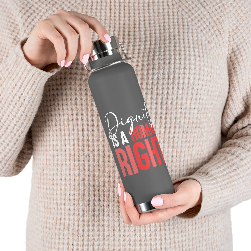 Dignity Is a Human Right Stainless Insulated Tumbler
