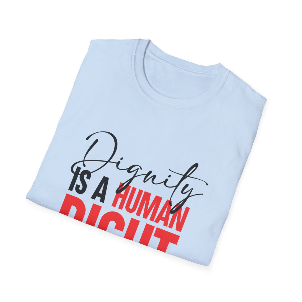 Dignity Is A Human Right T-Shirt