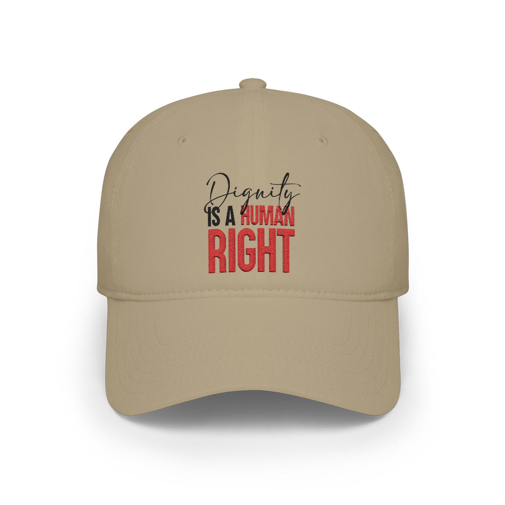 Dignity Is a Human Right Baseball Cap — Light