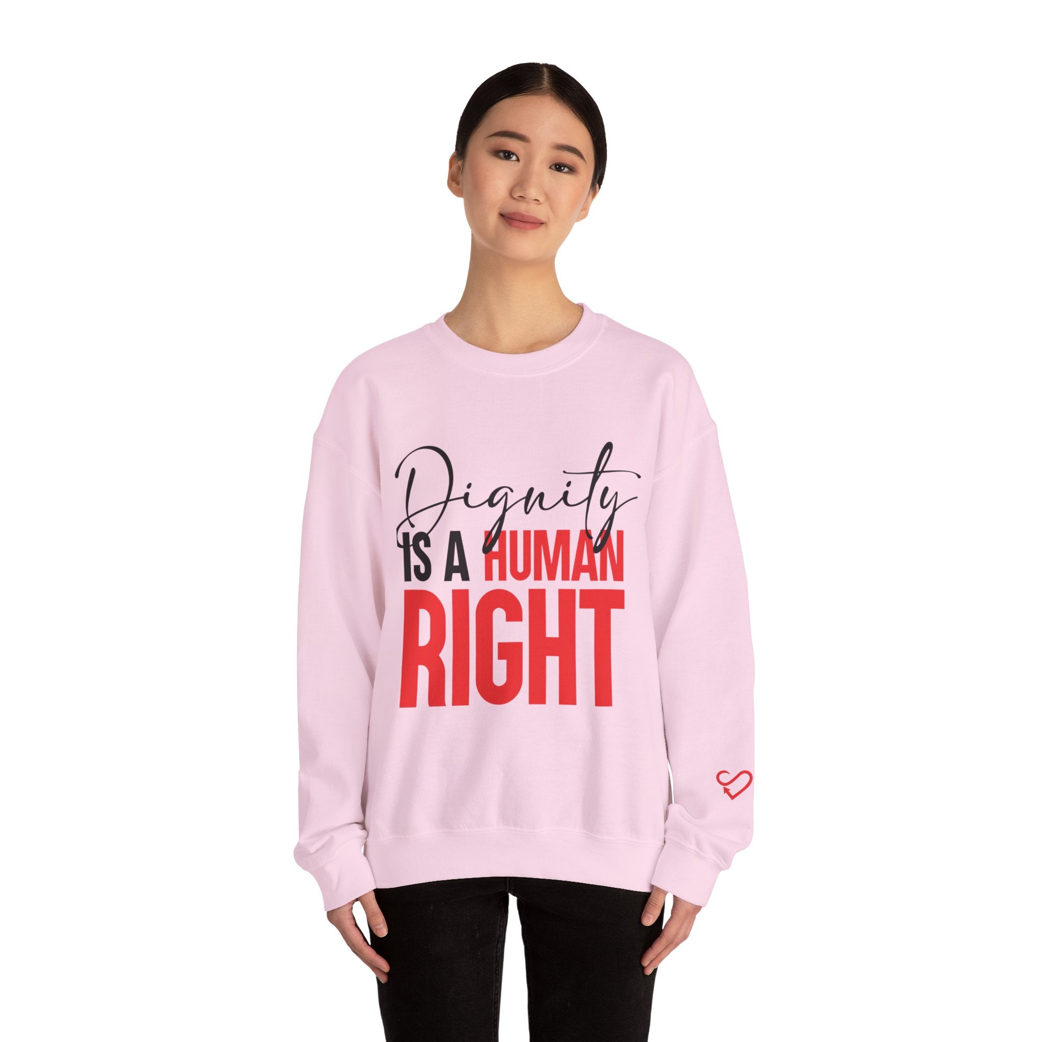 Dignity Is a Human Right Crewneck