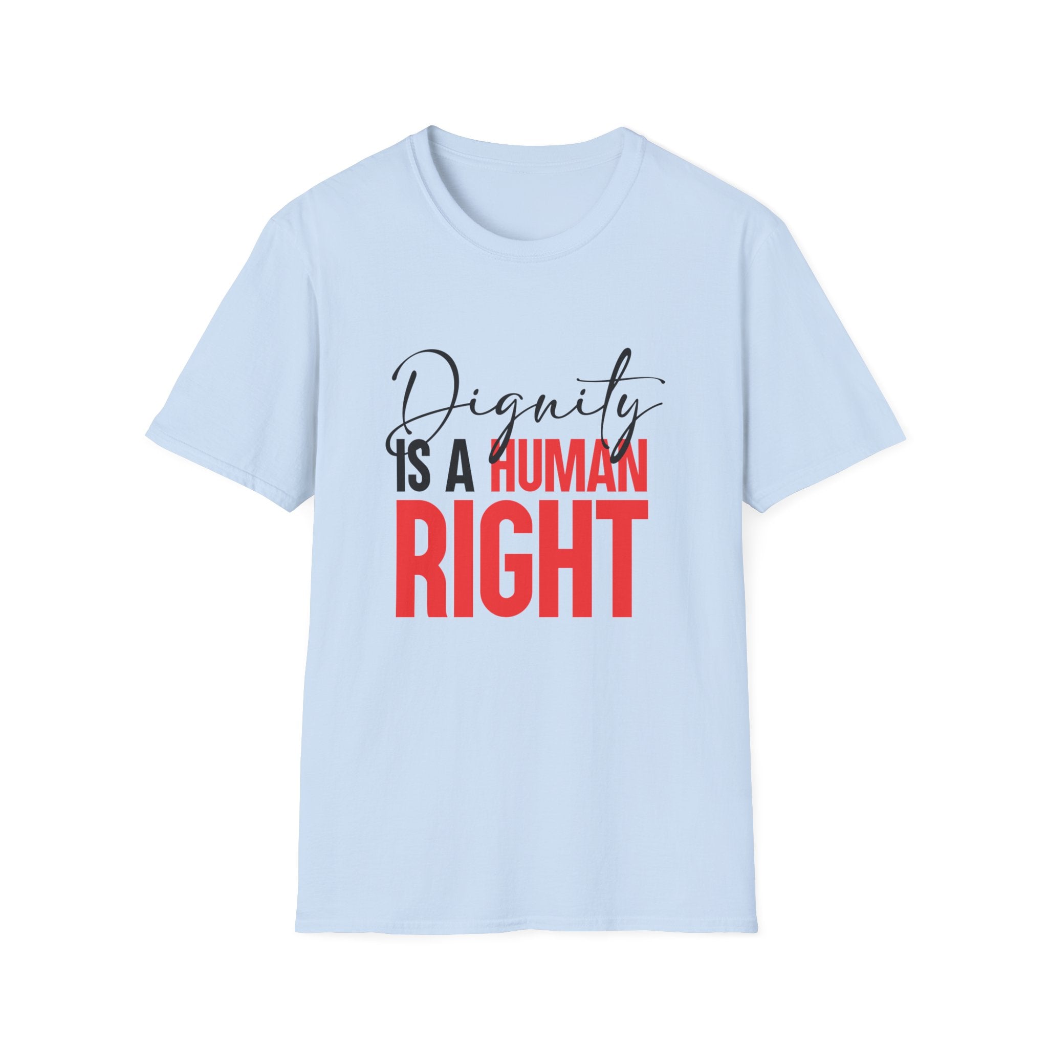 Dignity Is A Human Right T-Shirt