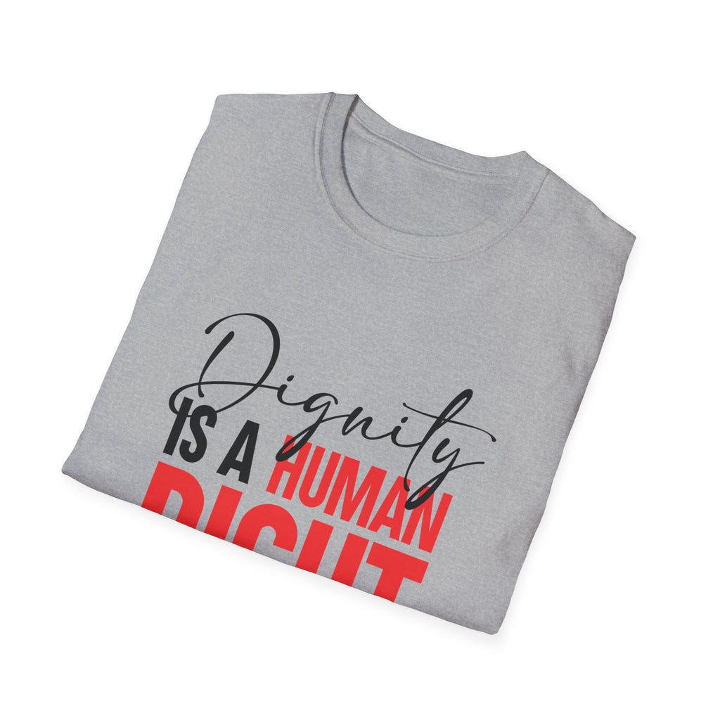 Dignity Is A Human Right T-Shirt