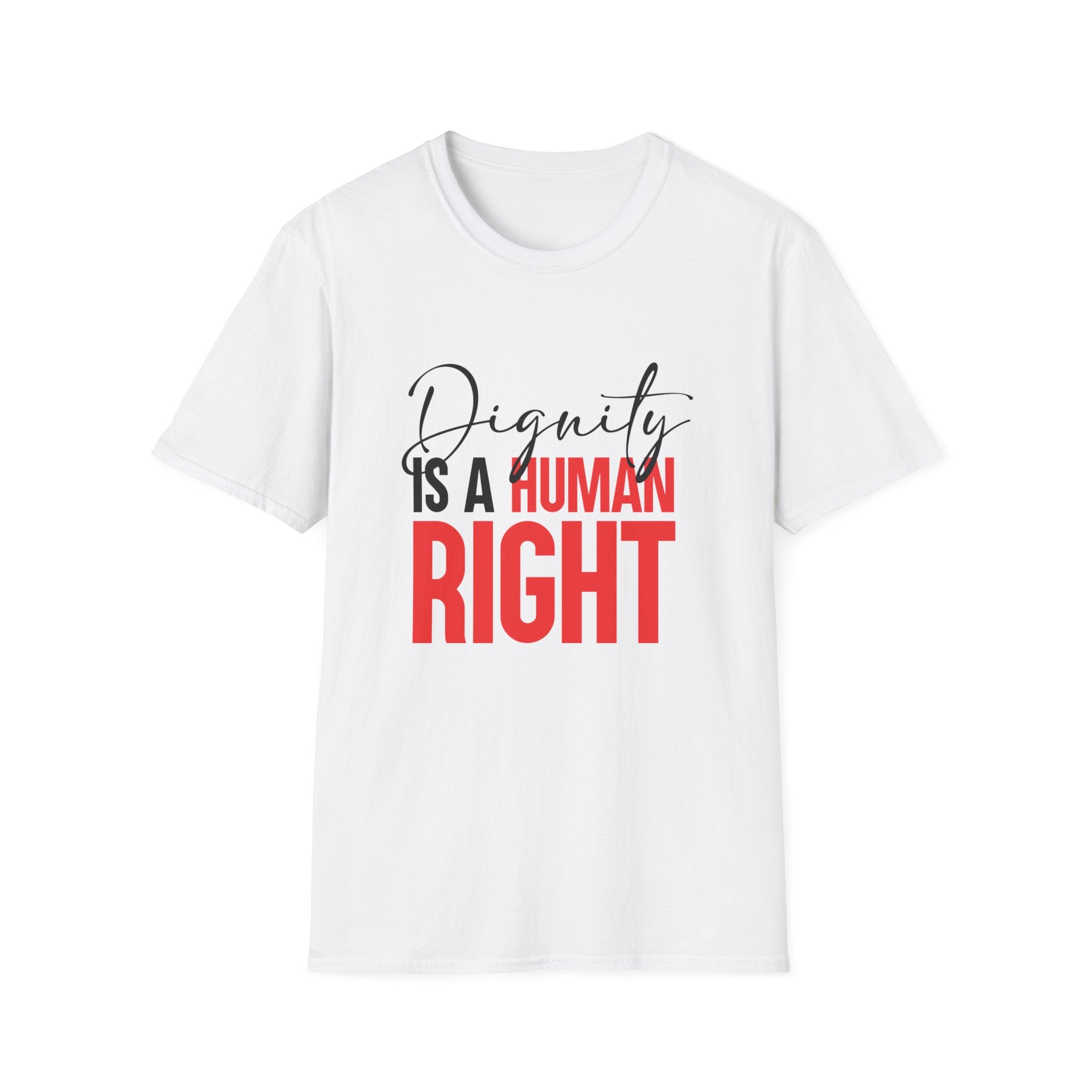 Dignity Is A Human Right T-Shirt