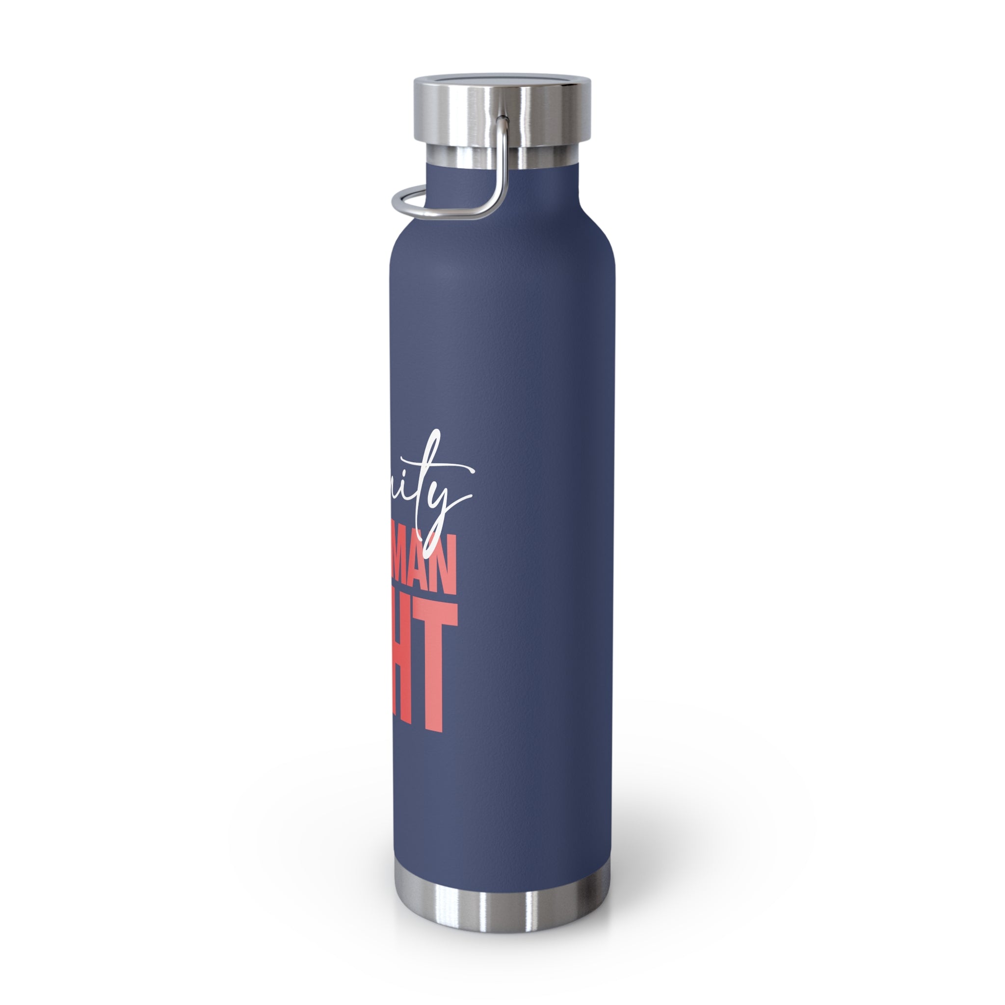 Dignity Is a Human Right Stainless Insulated Tumbler
