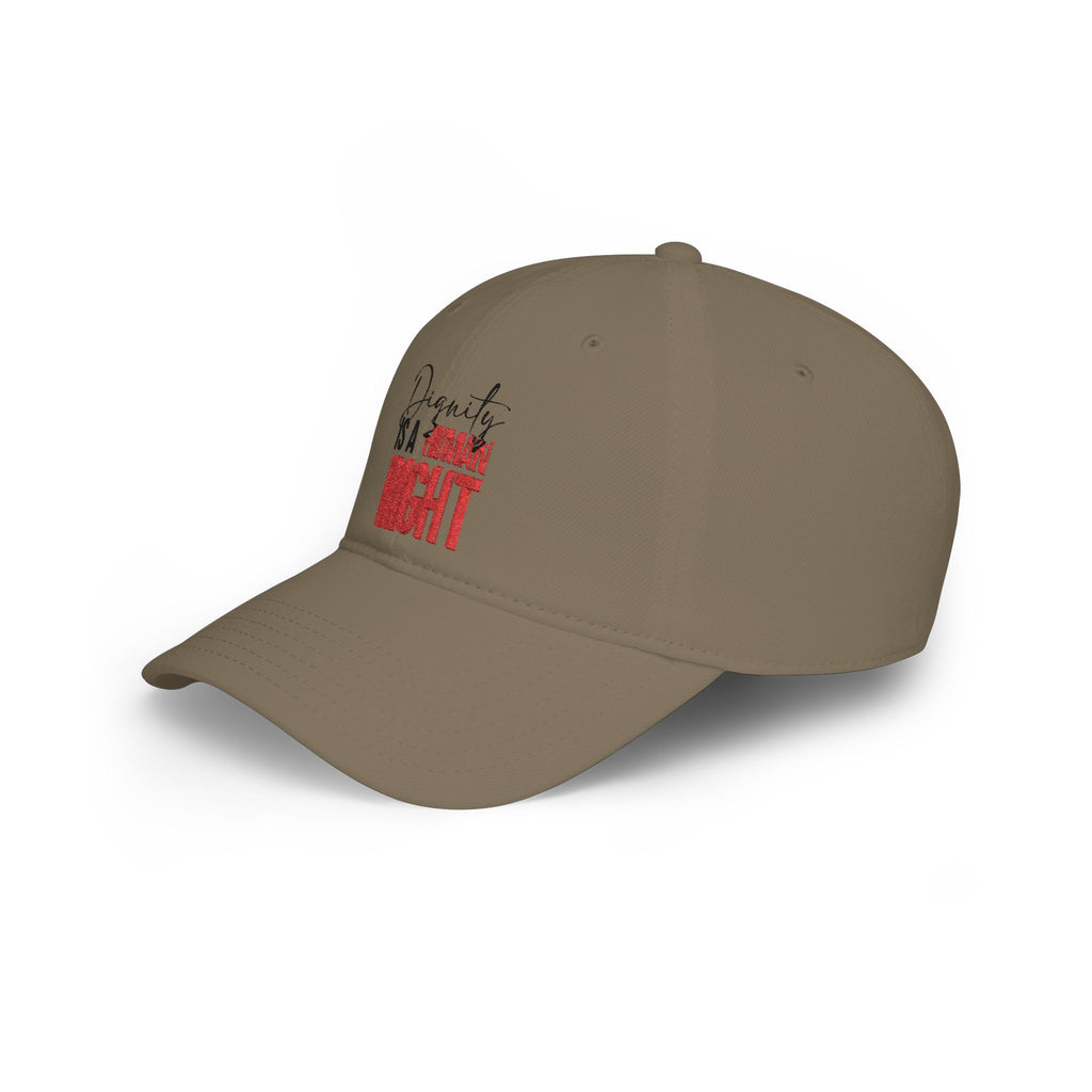 Dignity Is a Human Right Baseball Cap — Light