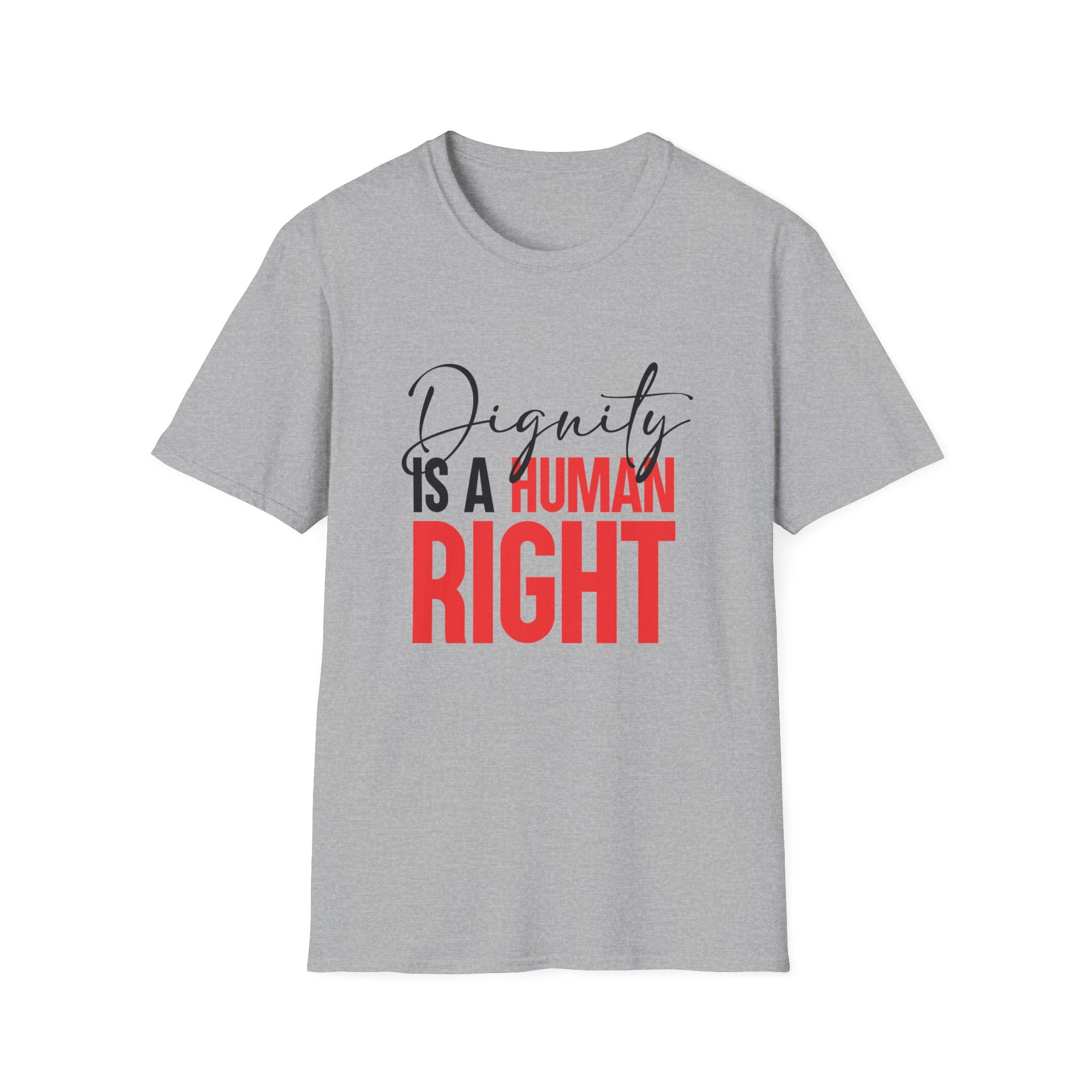 Dignity Is A Human Right T-Shirt