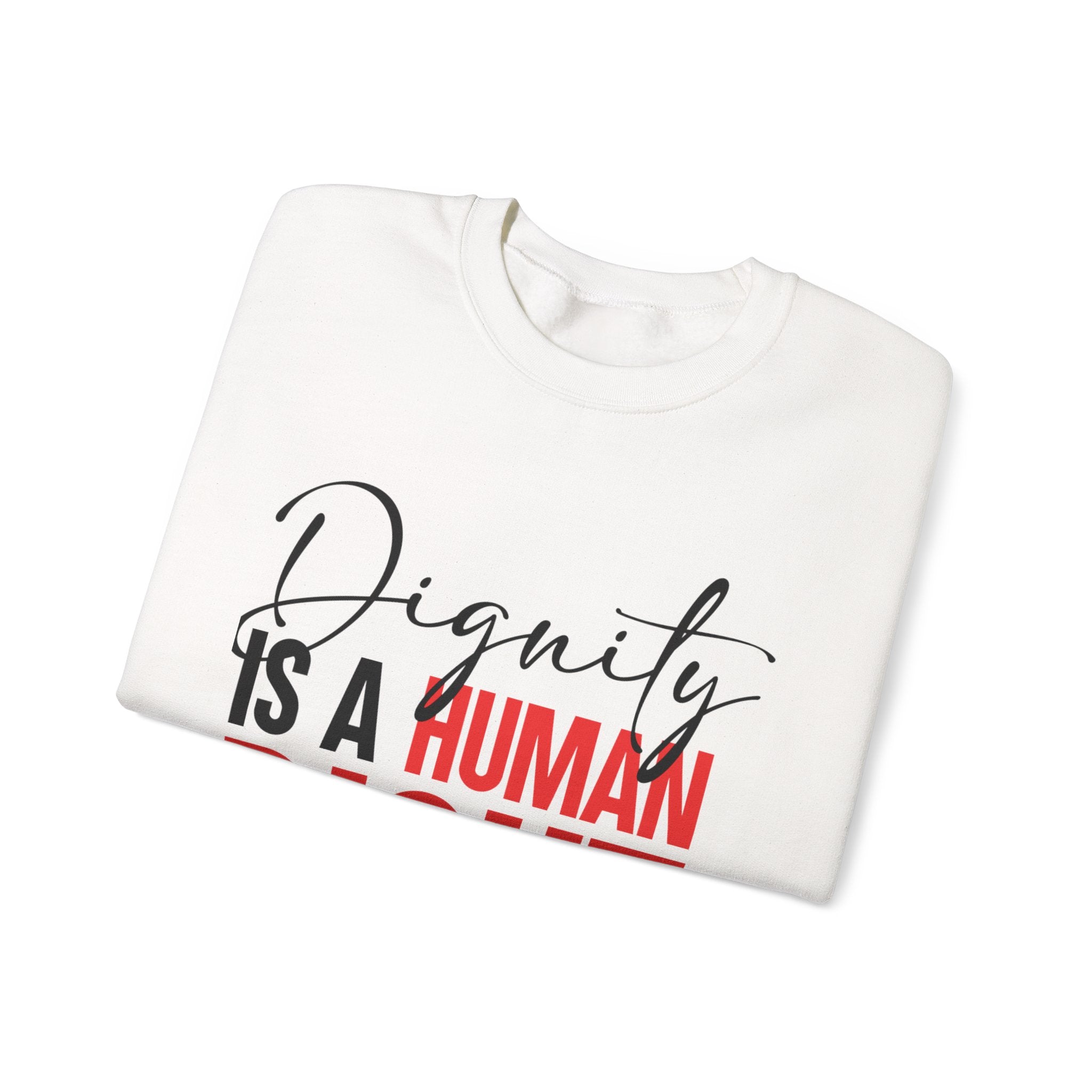 Dignity Is a Human Right Crewneck