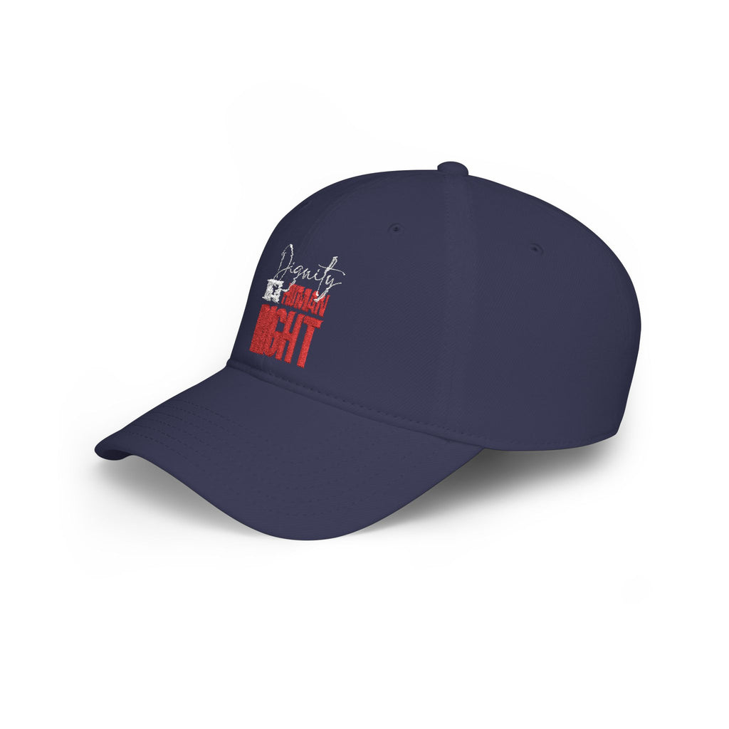 Dignity Is a Human Right Baseball Cap — Dark