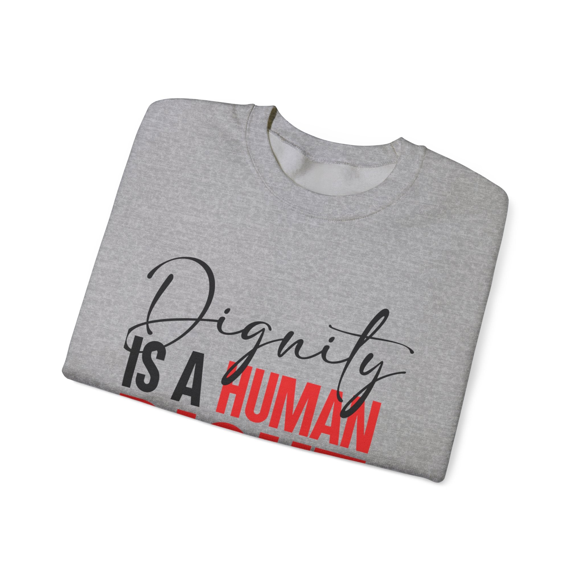 Dignity Is a Human Right Crewneck