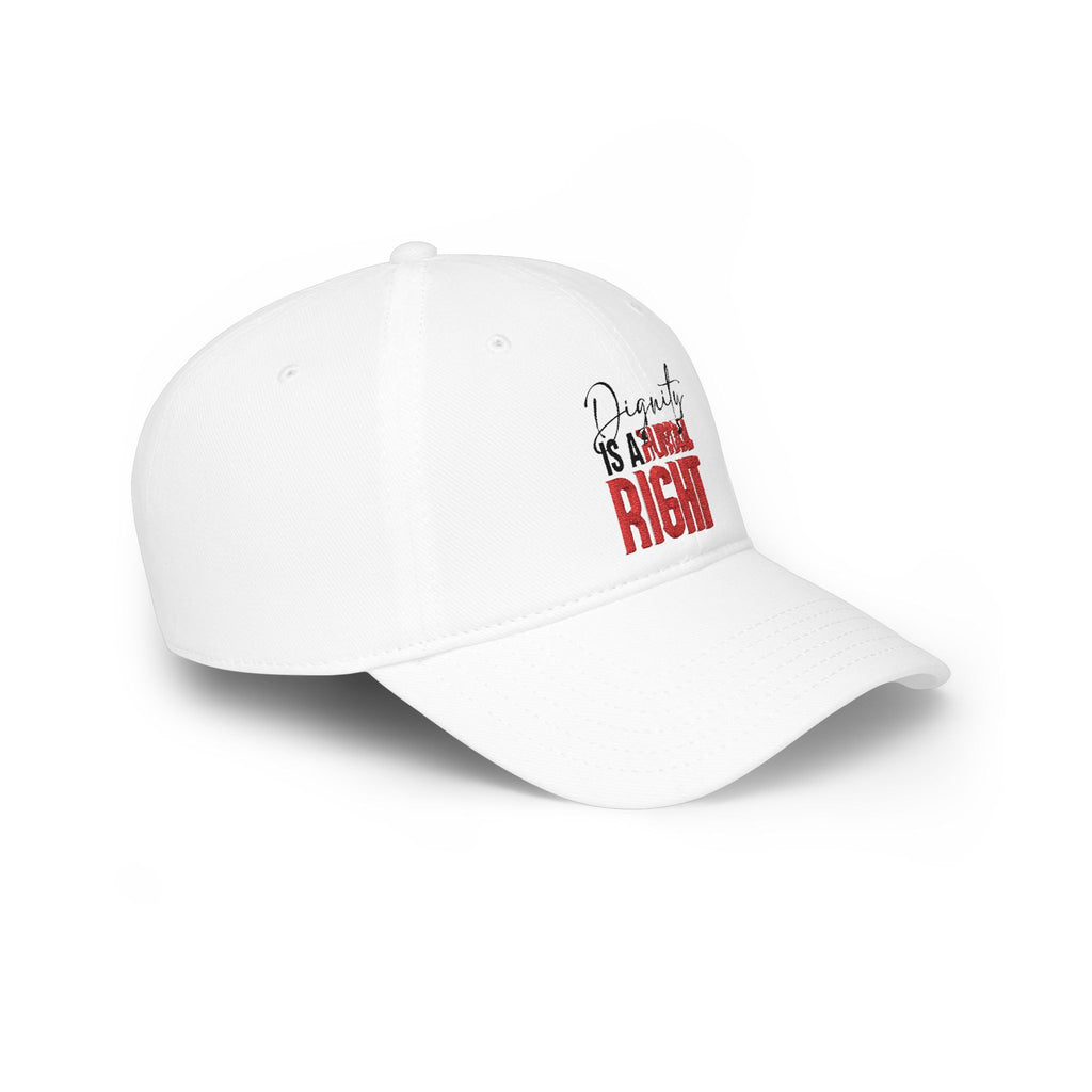 Dignity Is a Human Right Baseball Cap — Light