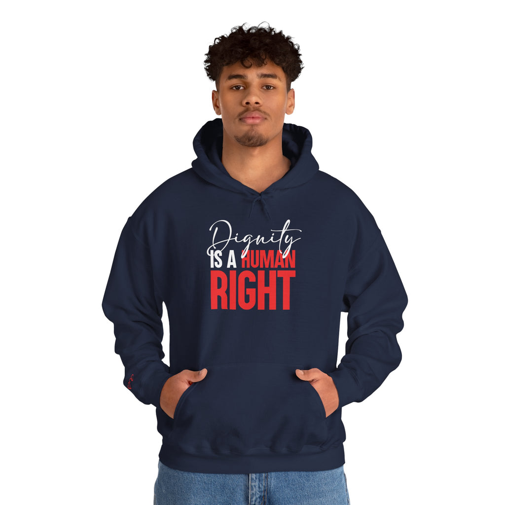 Dignity Is a Human Right Hoodie