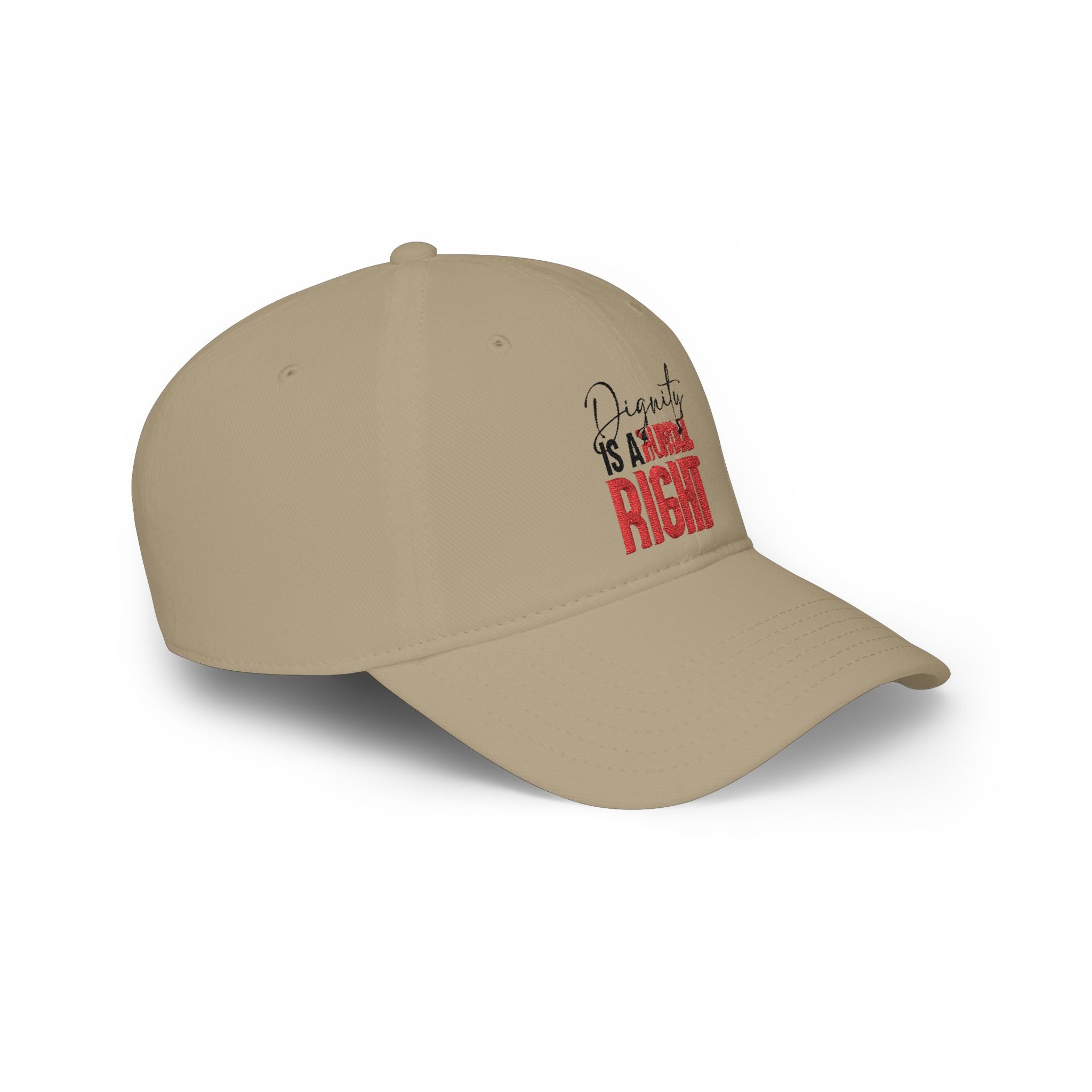 Dignity Is a Human Right Baseball Cap — Light