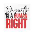 Dignity Is A Human Right Car Magnet