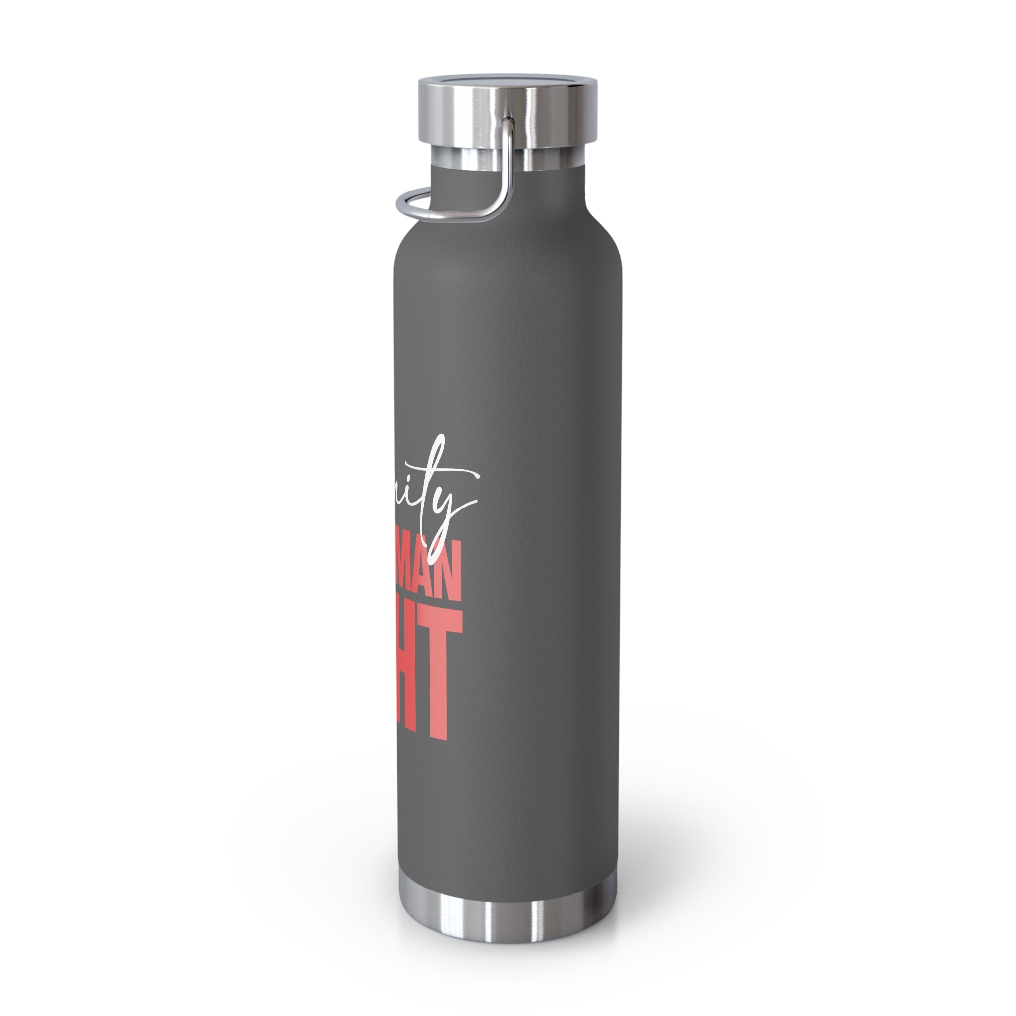 Dignity Is a Human Right Stainless Insulated Tumbler