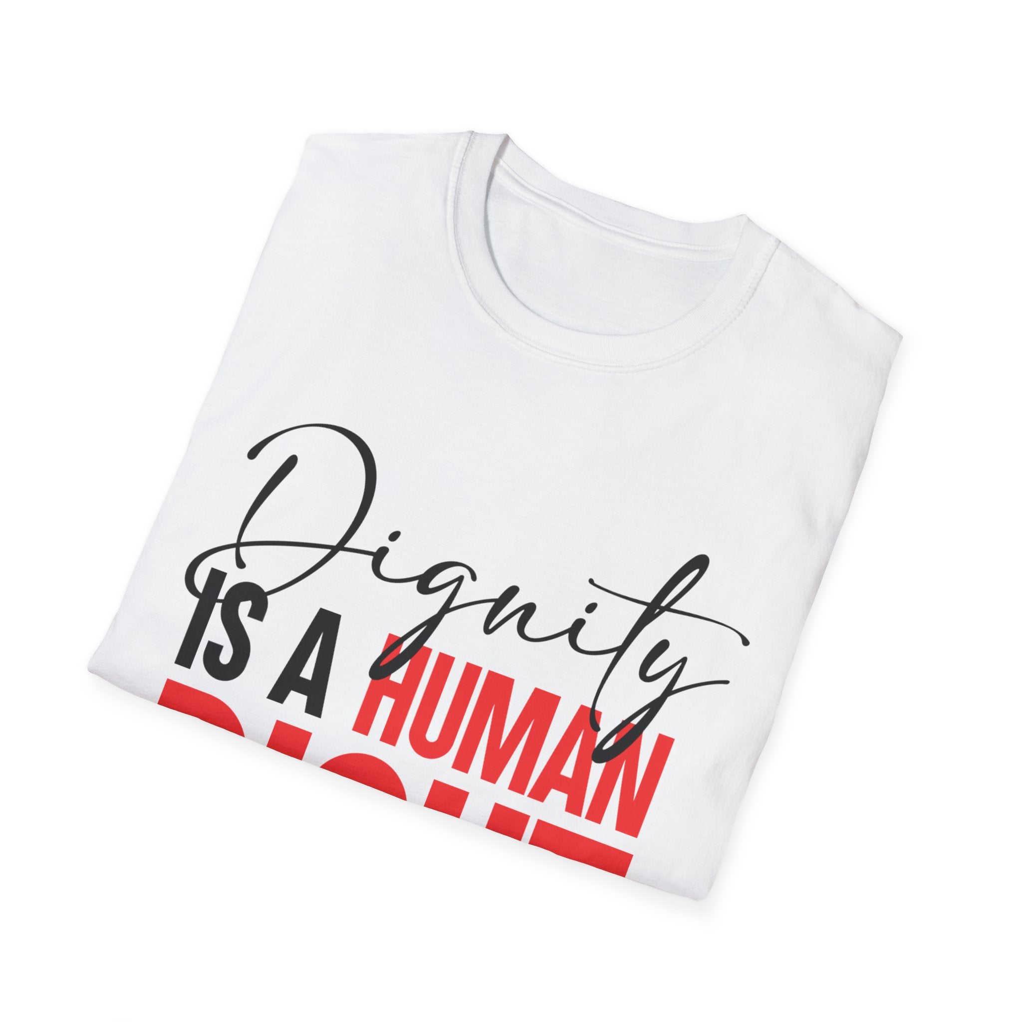 Dignity Is A Human Right T-Shirt