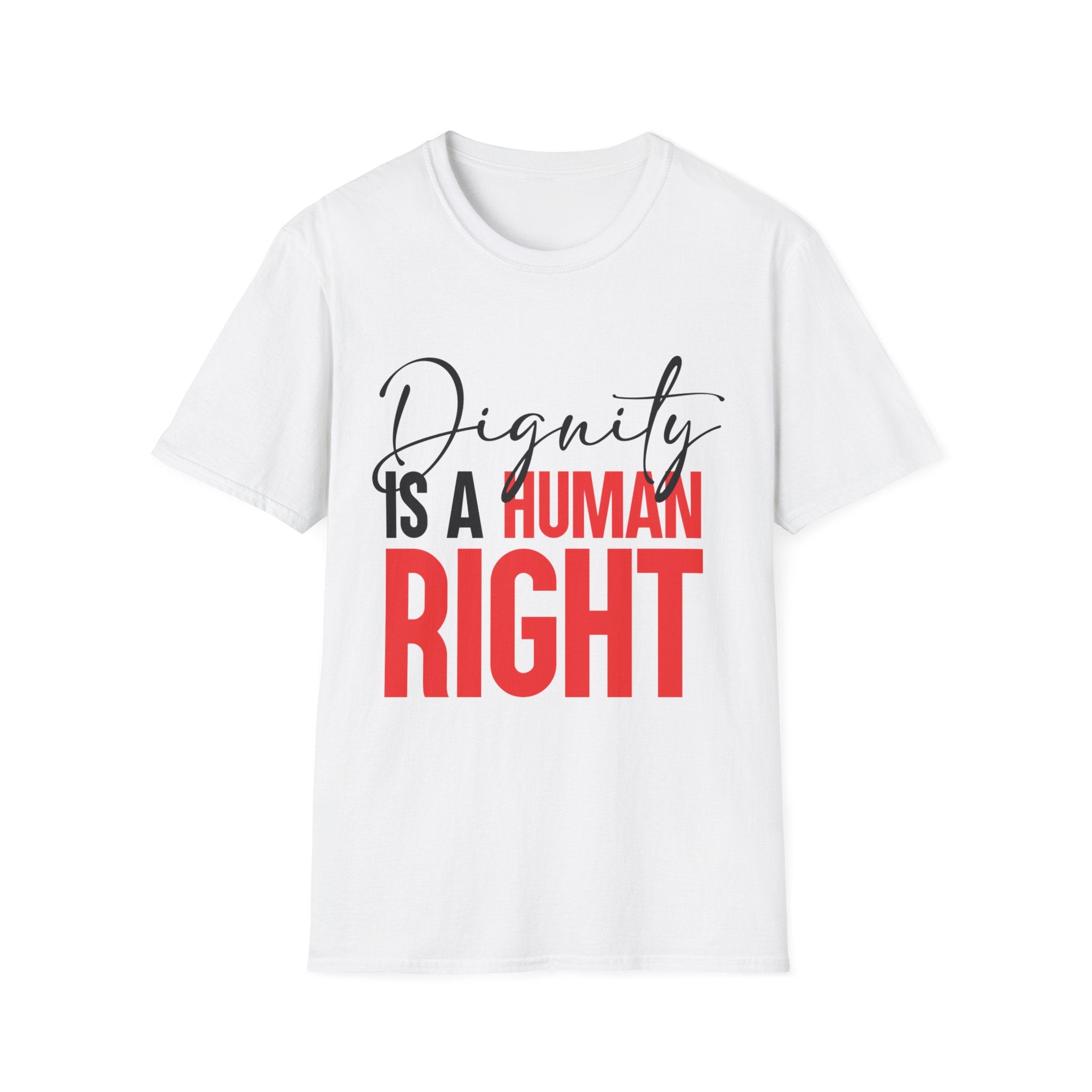 Dignity Is A Human Right T-Shirt
