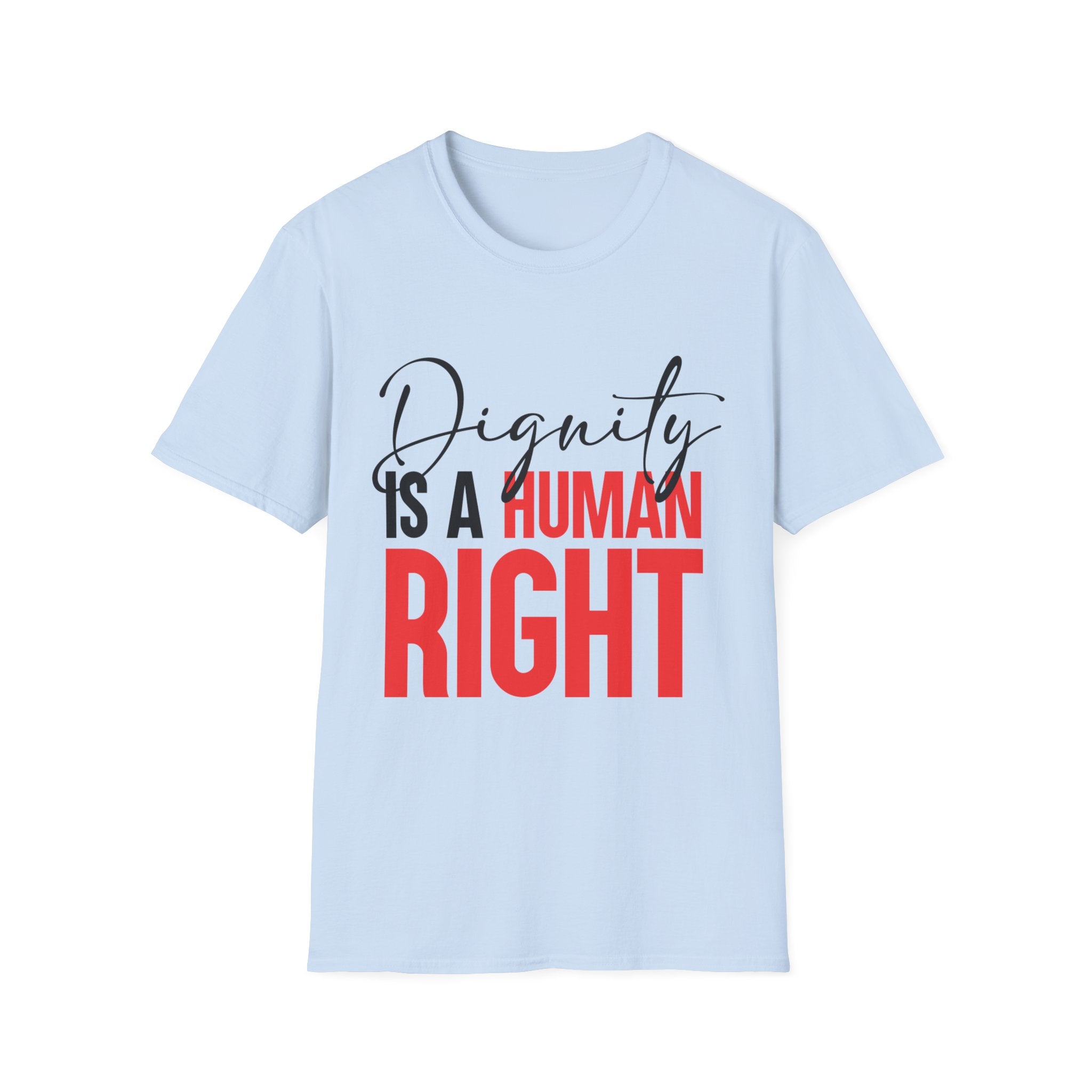 Dignity Is A Human Right T-Shirt