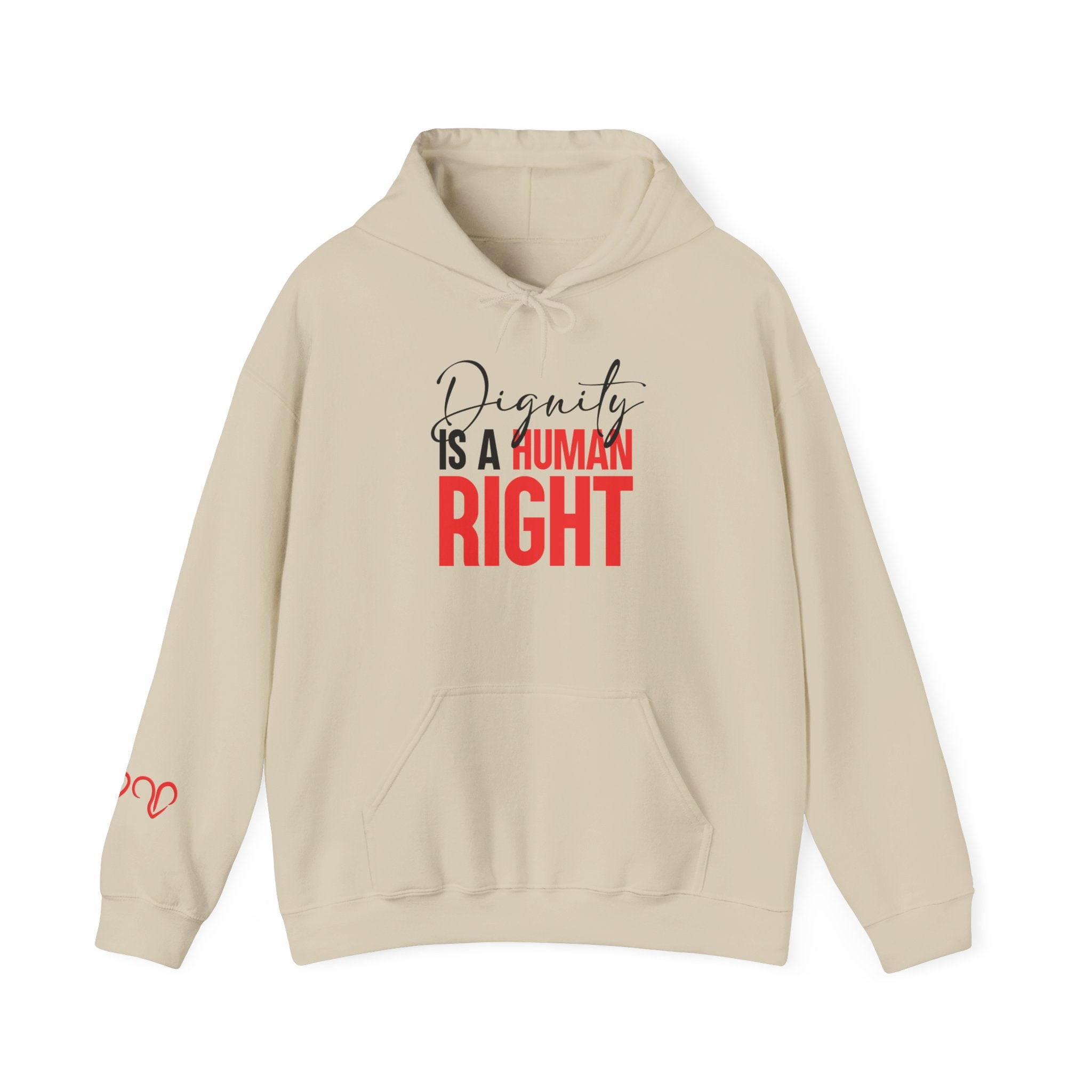 Dignity Is a Human Right Hoodie