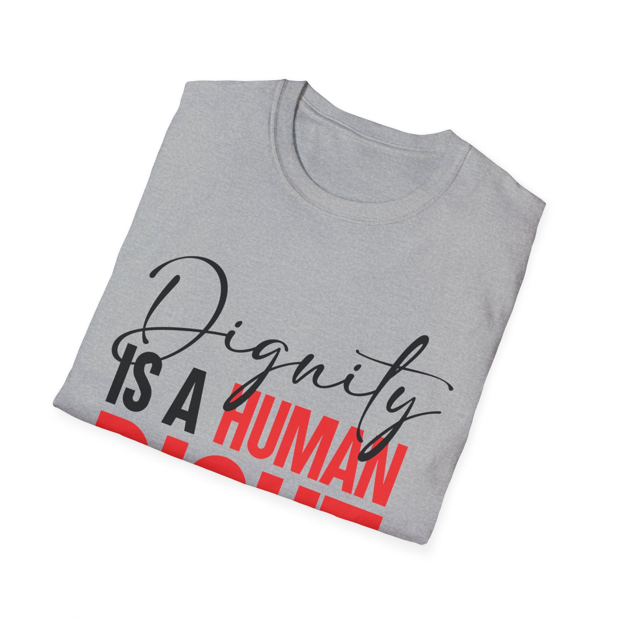 Dignity Is A Human Right T-Shirt