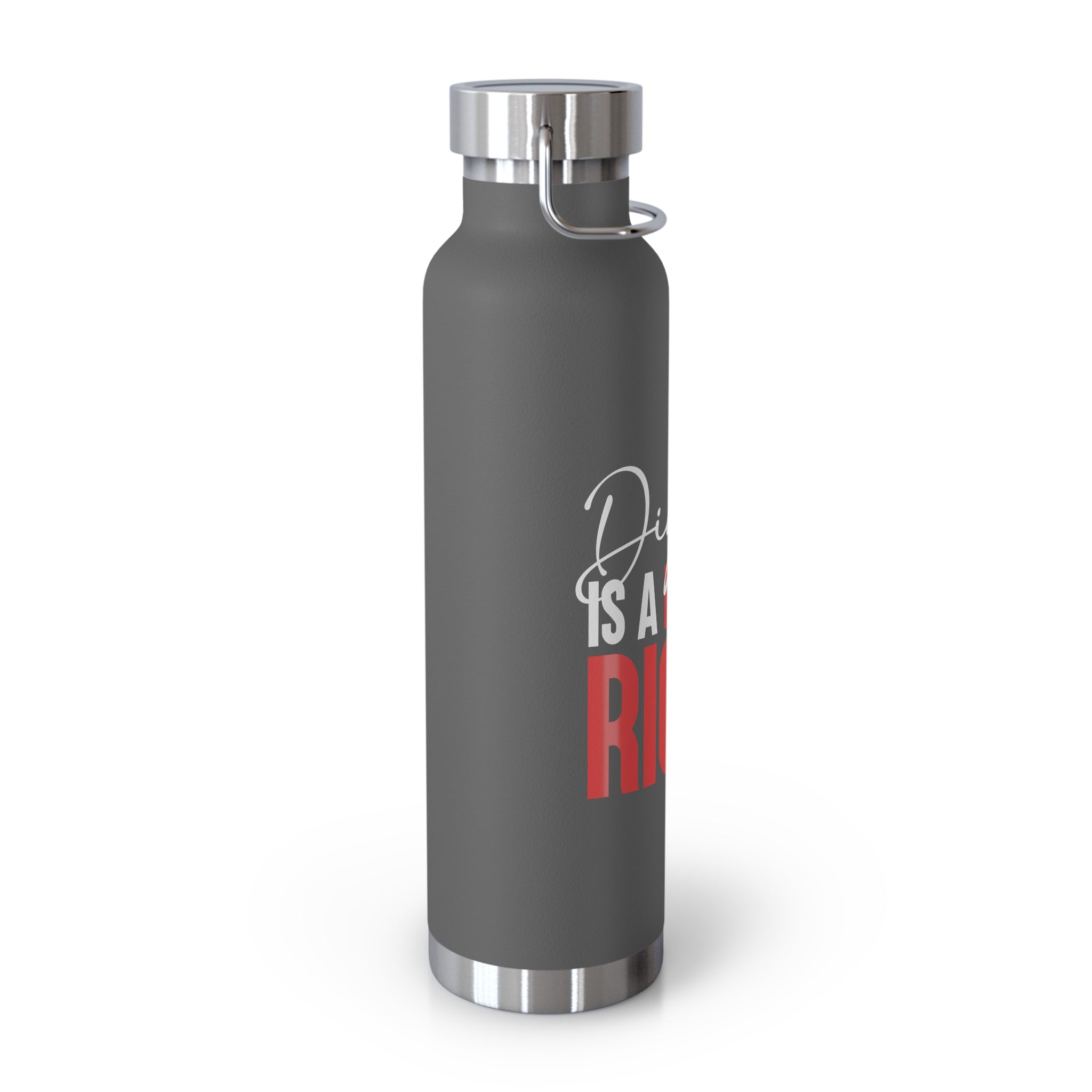 Dignity Is a Human Right Stainless Insulated Tumbler
