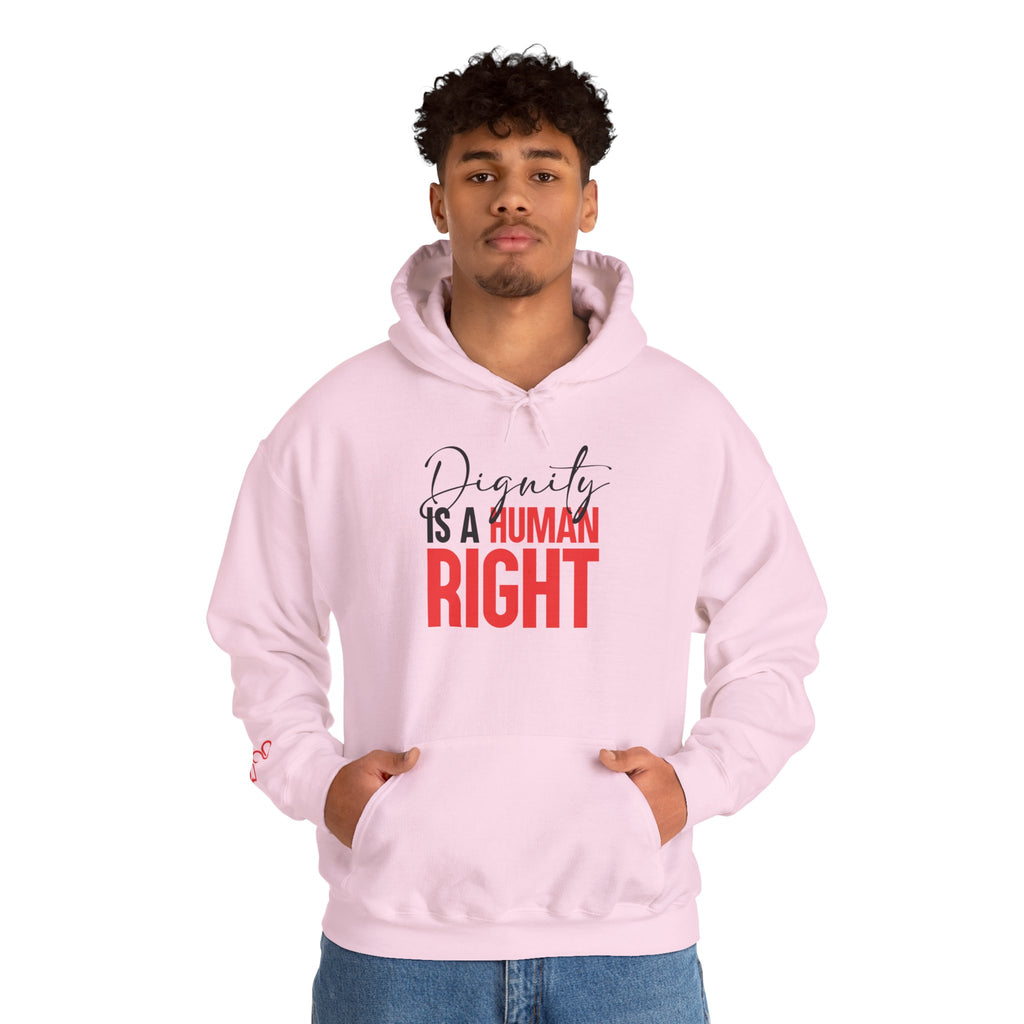 Dignity Is a Human Right Hoodie
