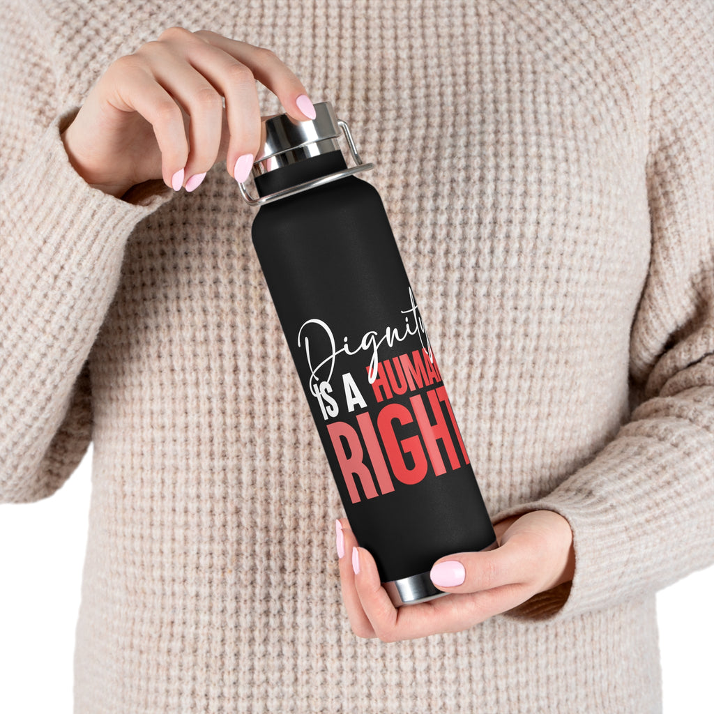 Dignity Is a Human Right Stainless Insulated Tumbler