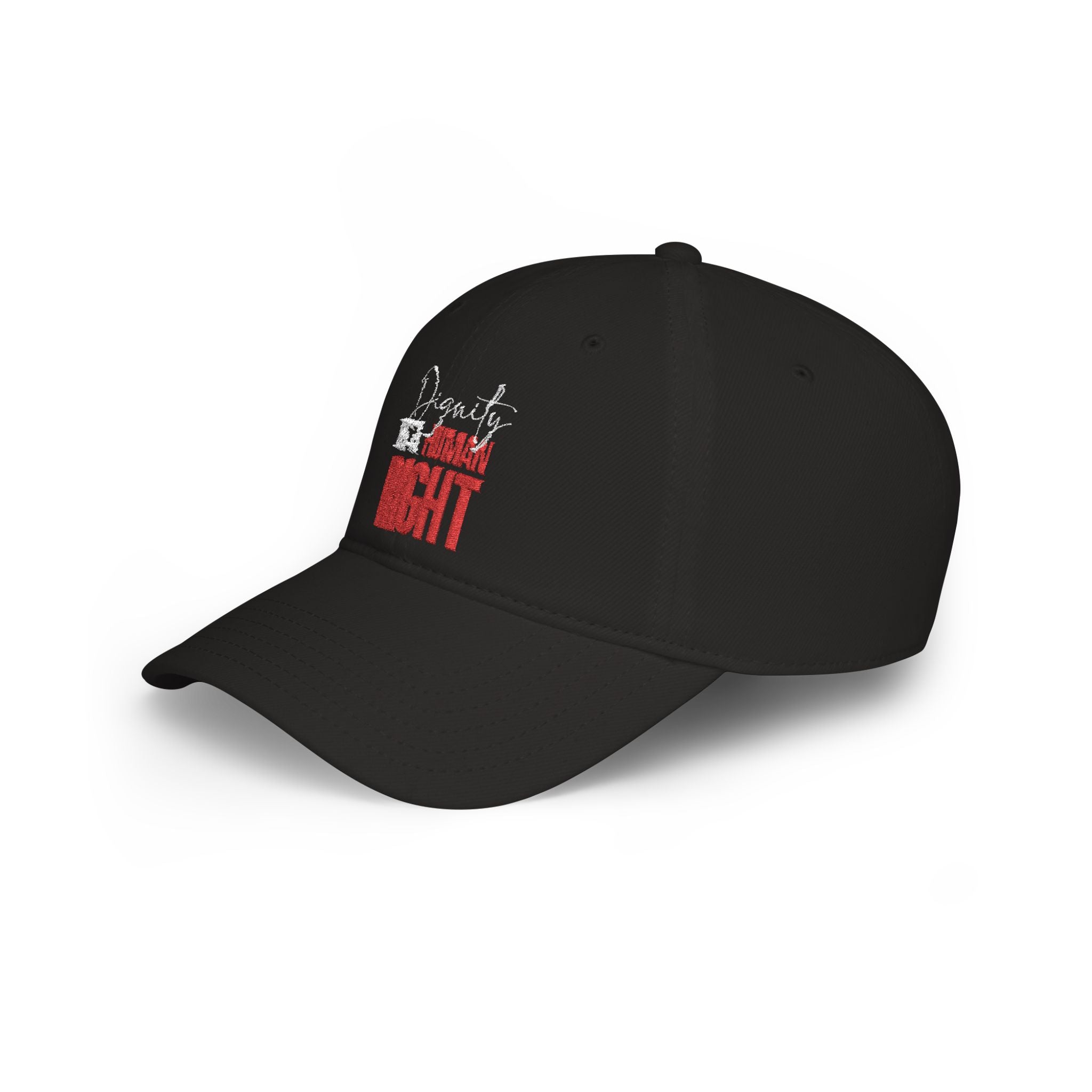 Dignity Is a Human Right Baseball Cap — Dark