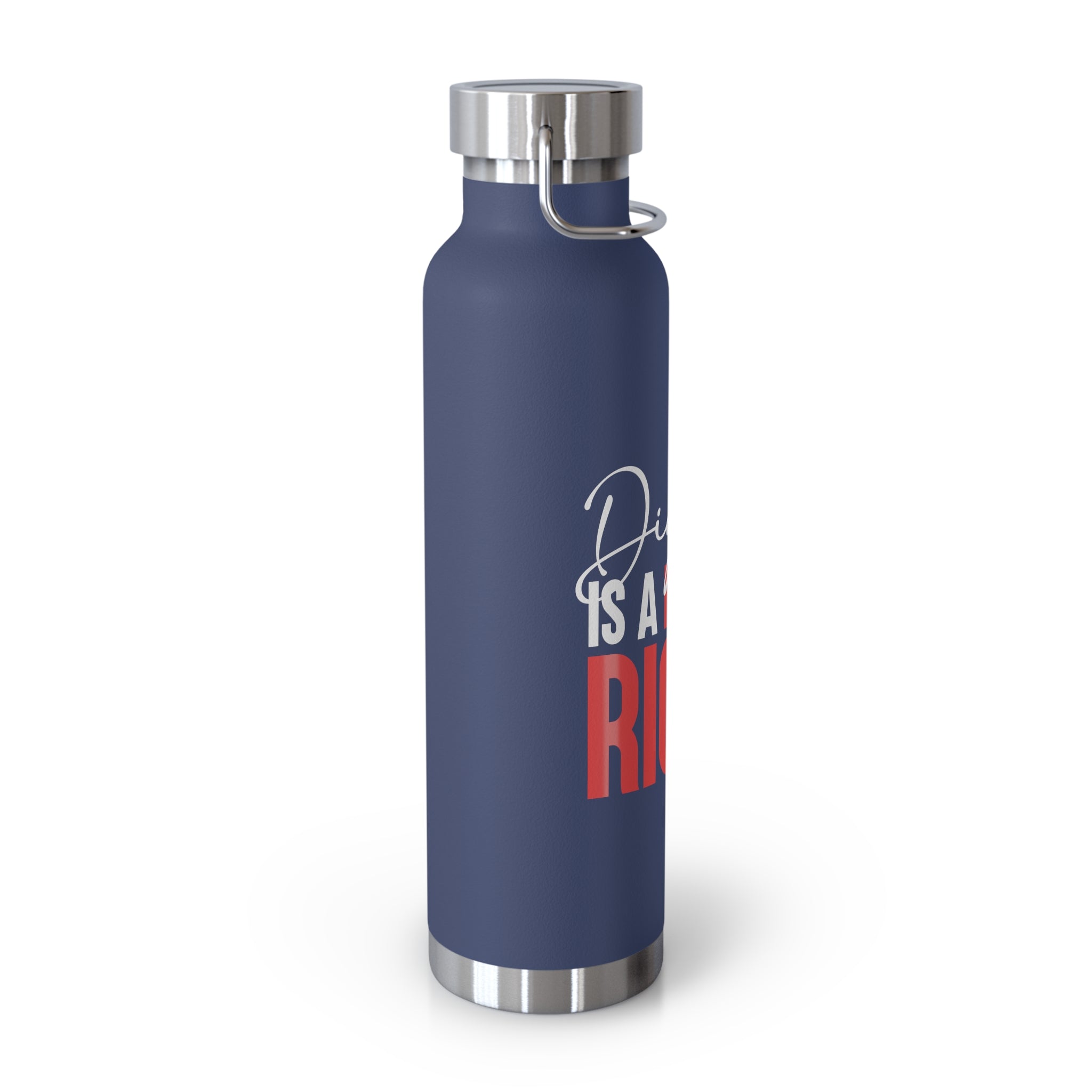 Dignity Is a Human Right Stainless Insulated Tumbler