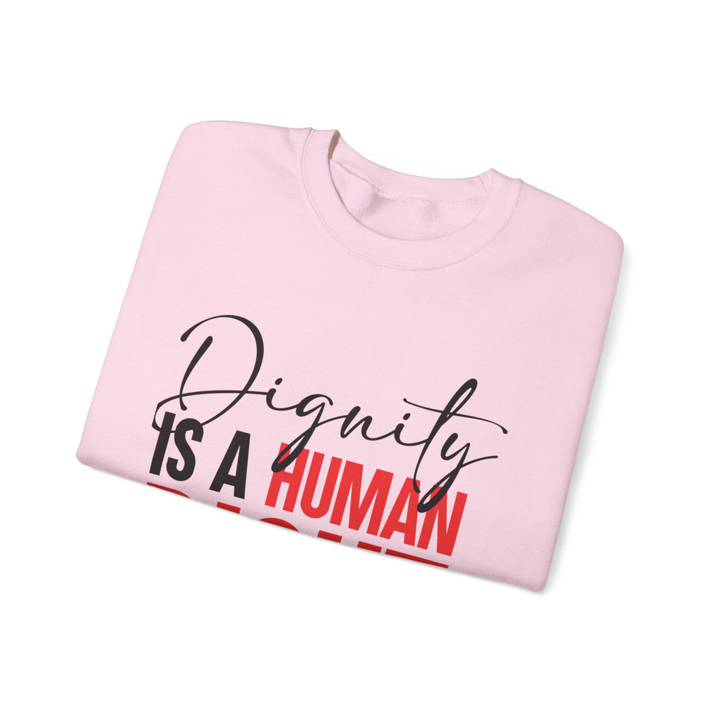 Dignity Is a Human Right Crewneck